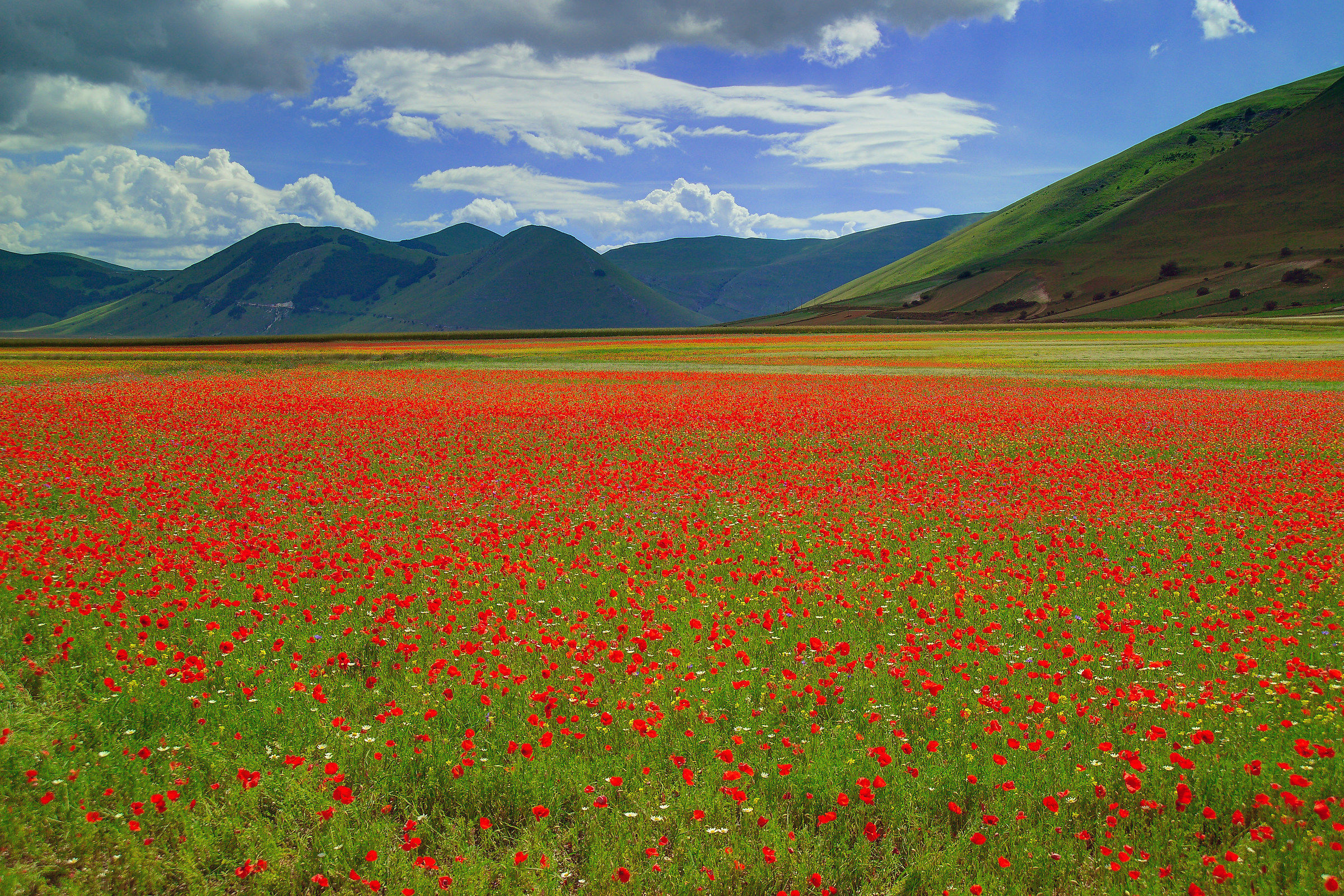 Castelluccio Kodak srl HRD 2