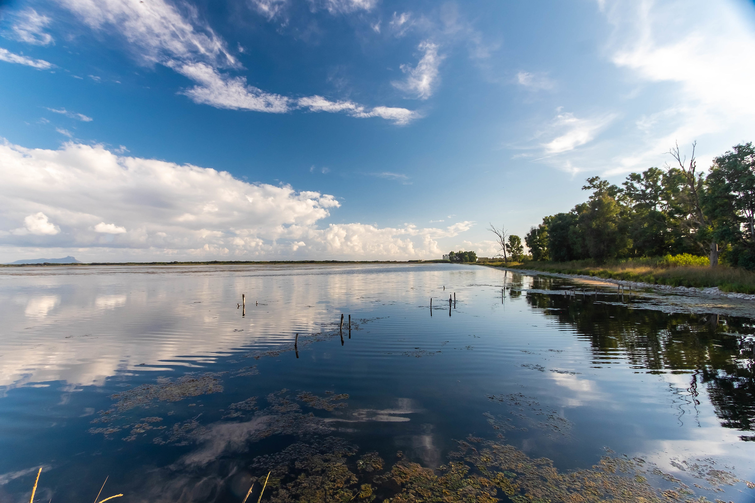 SanFeliceCirceo (lt)