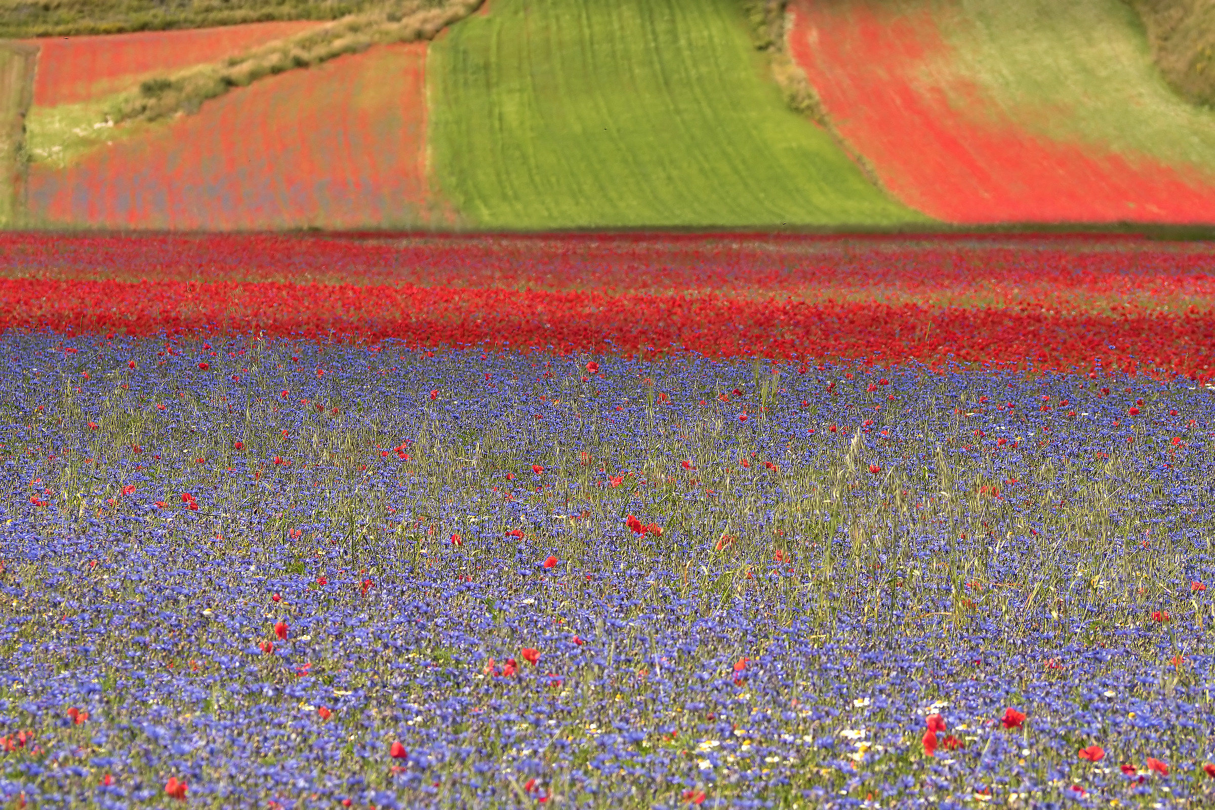 Castelluccio Oly 2