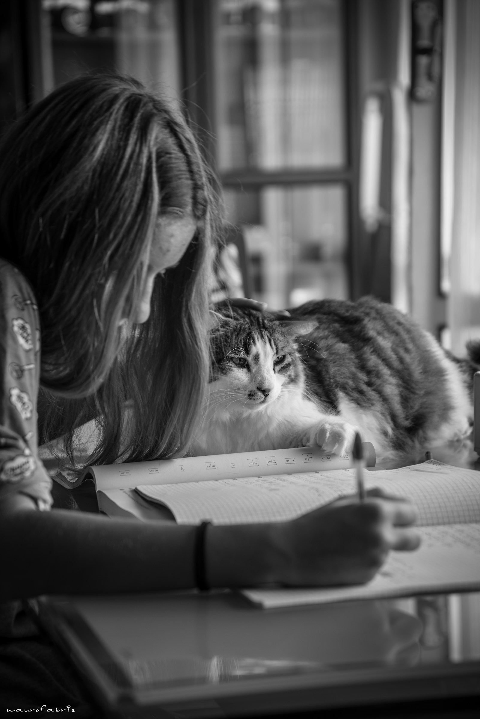 compagni di studio ...