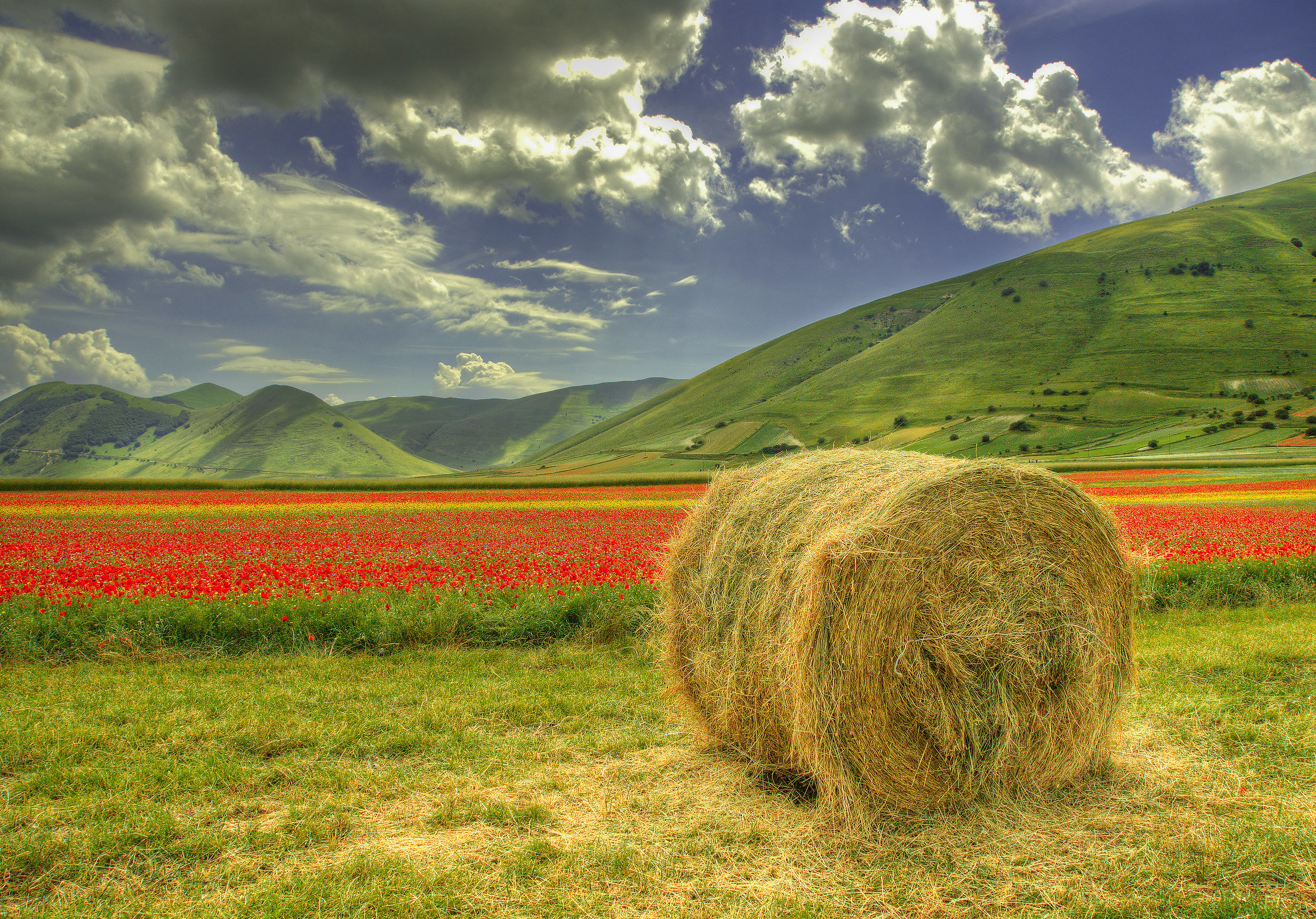 Castelluccio Oly 4 HDR