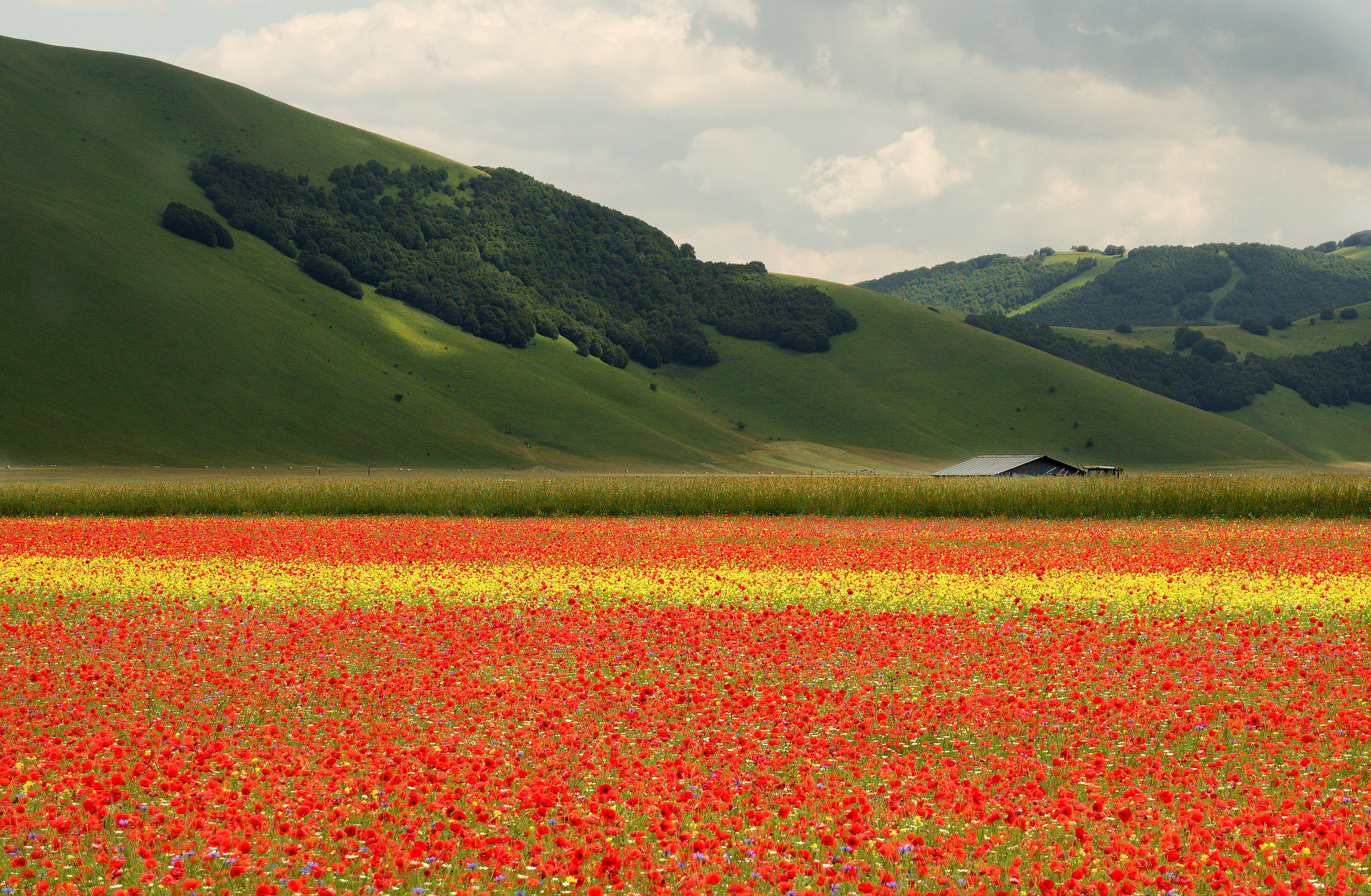 Castelluccio Oly 5