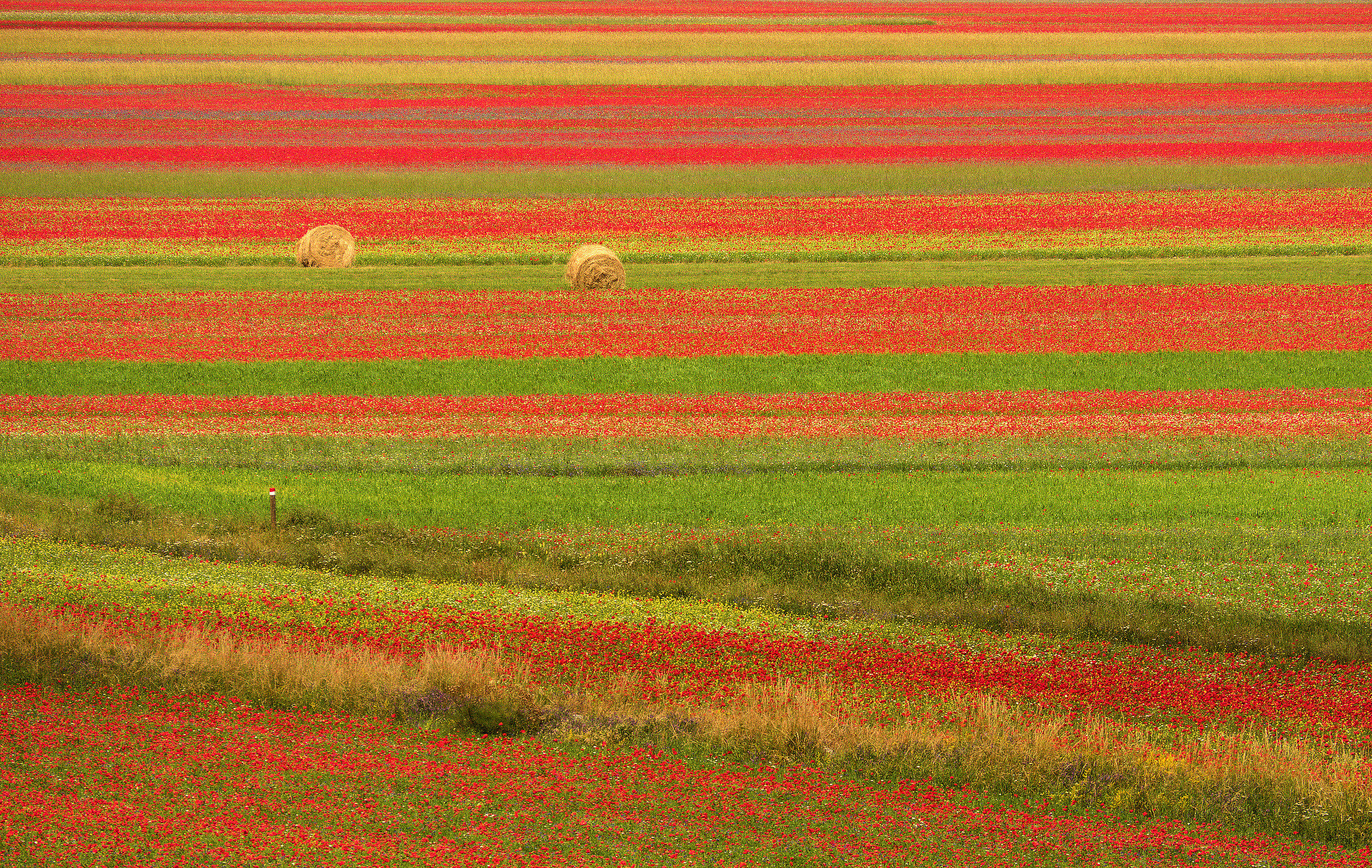 Castelluccio
