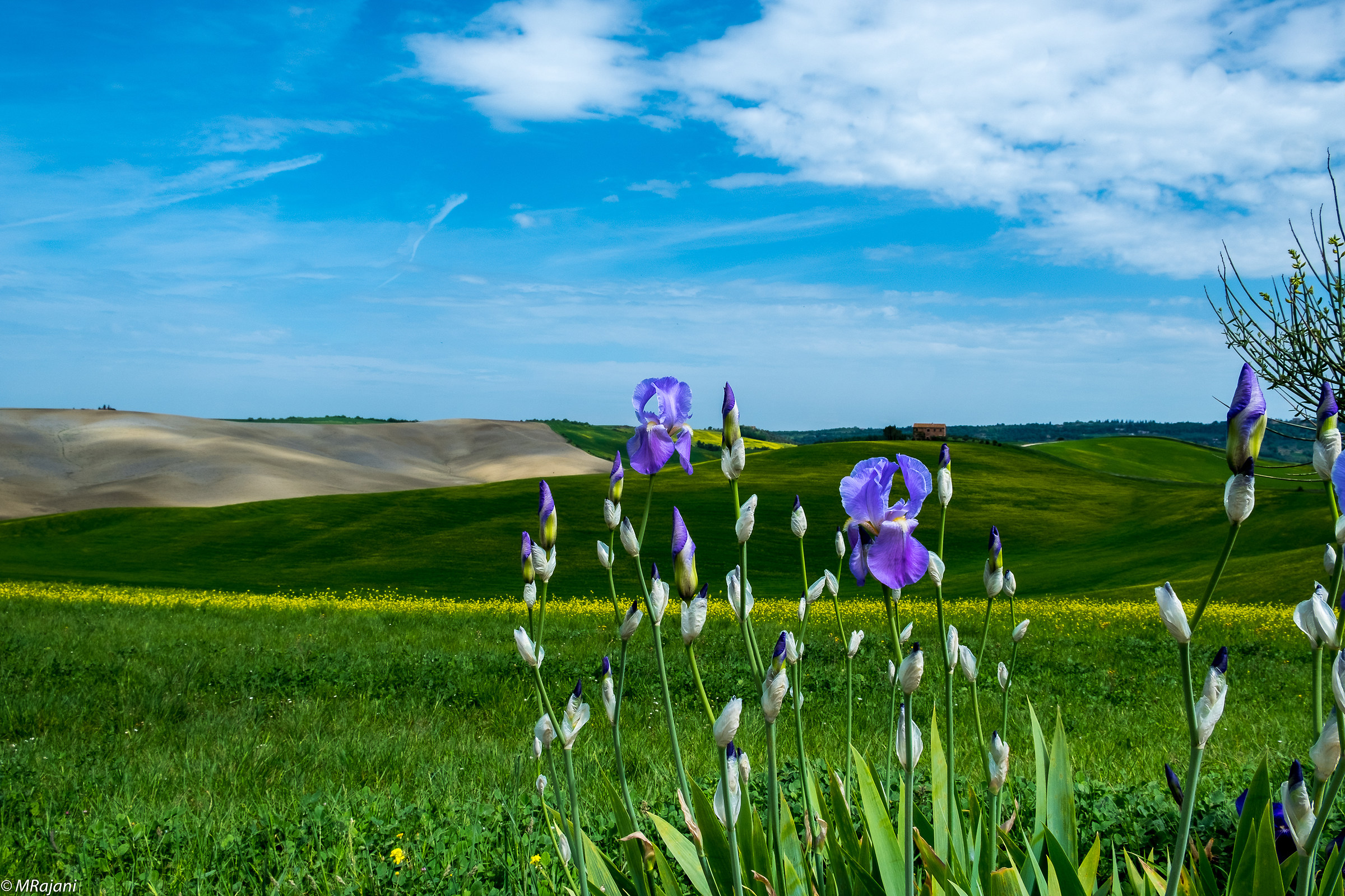 Val d'Orcia :vista colline