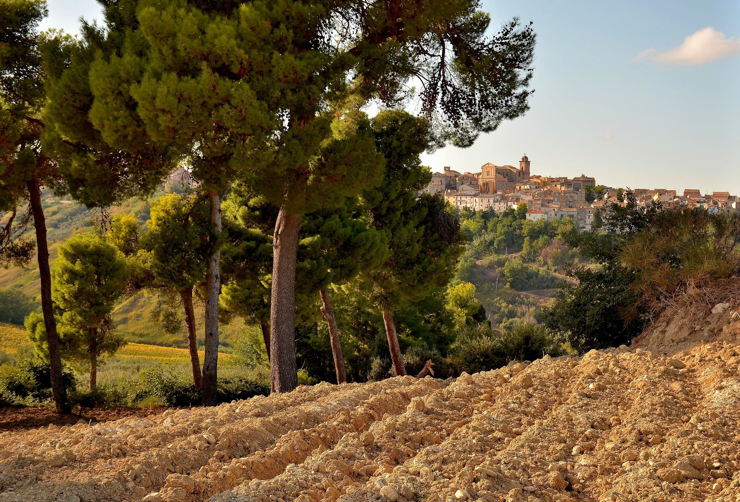 In the groove of tradition