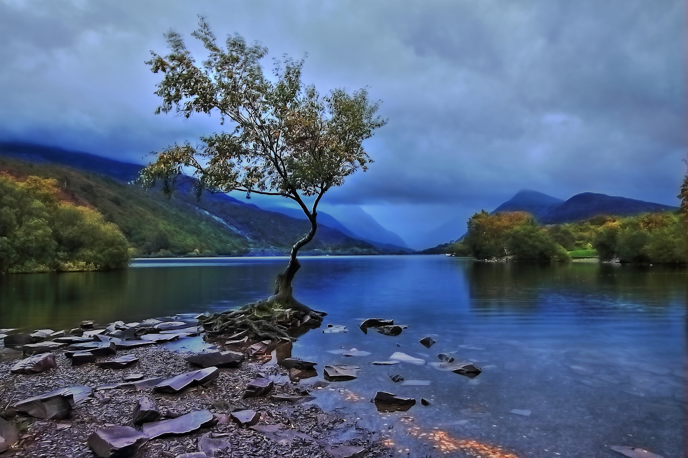 The Lone Tree Snowdonia
