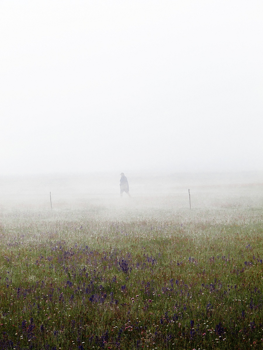 Castelluccio - Into the fog