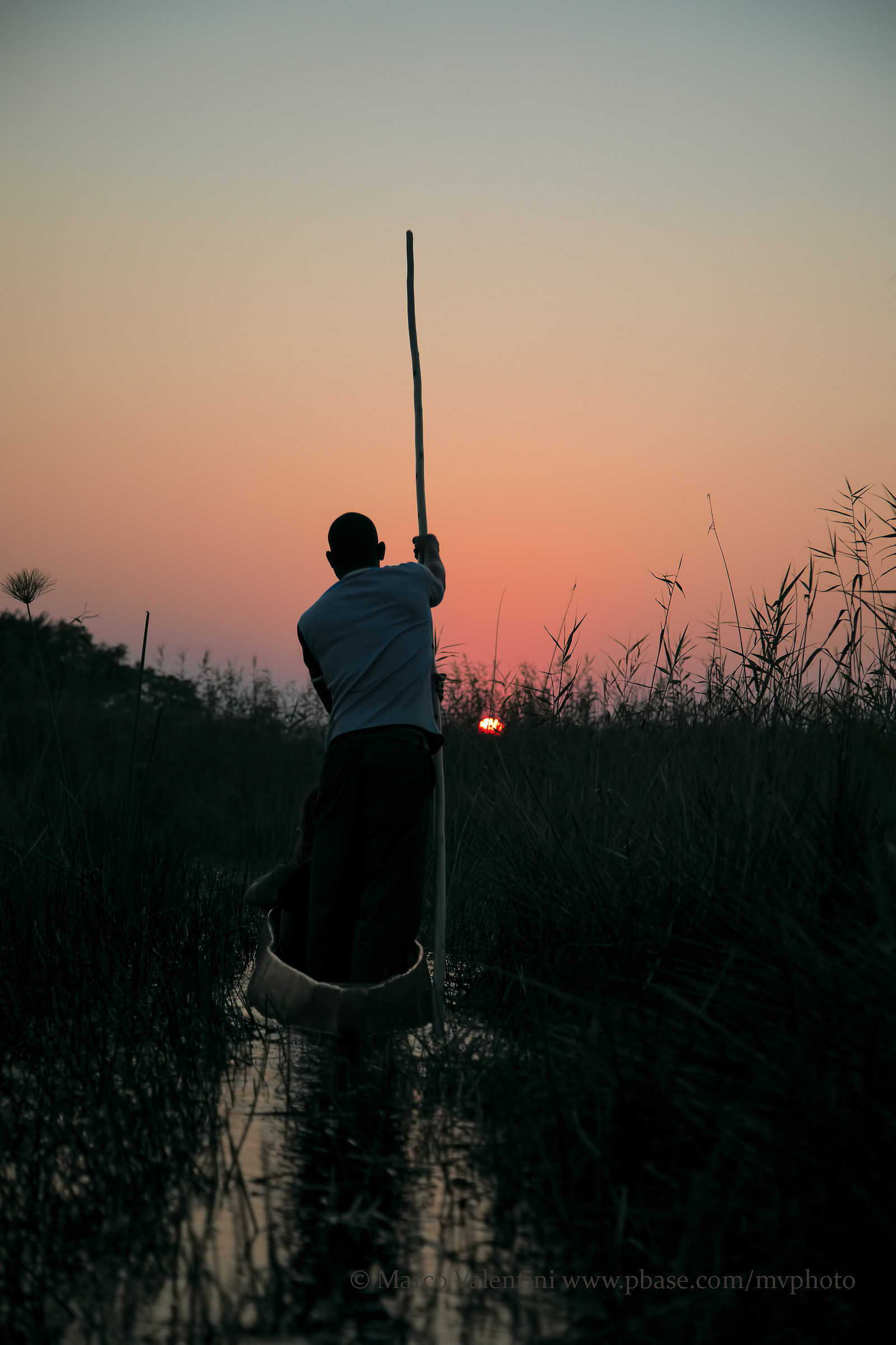 Last Sun in the delta