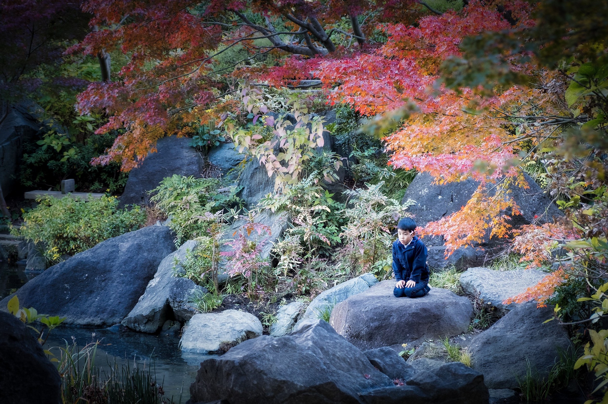 The Japanese autumn is coming