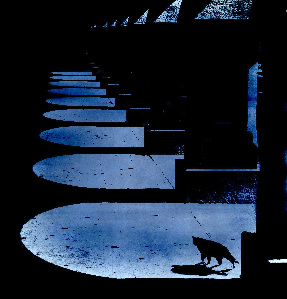 The light of the moon