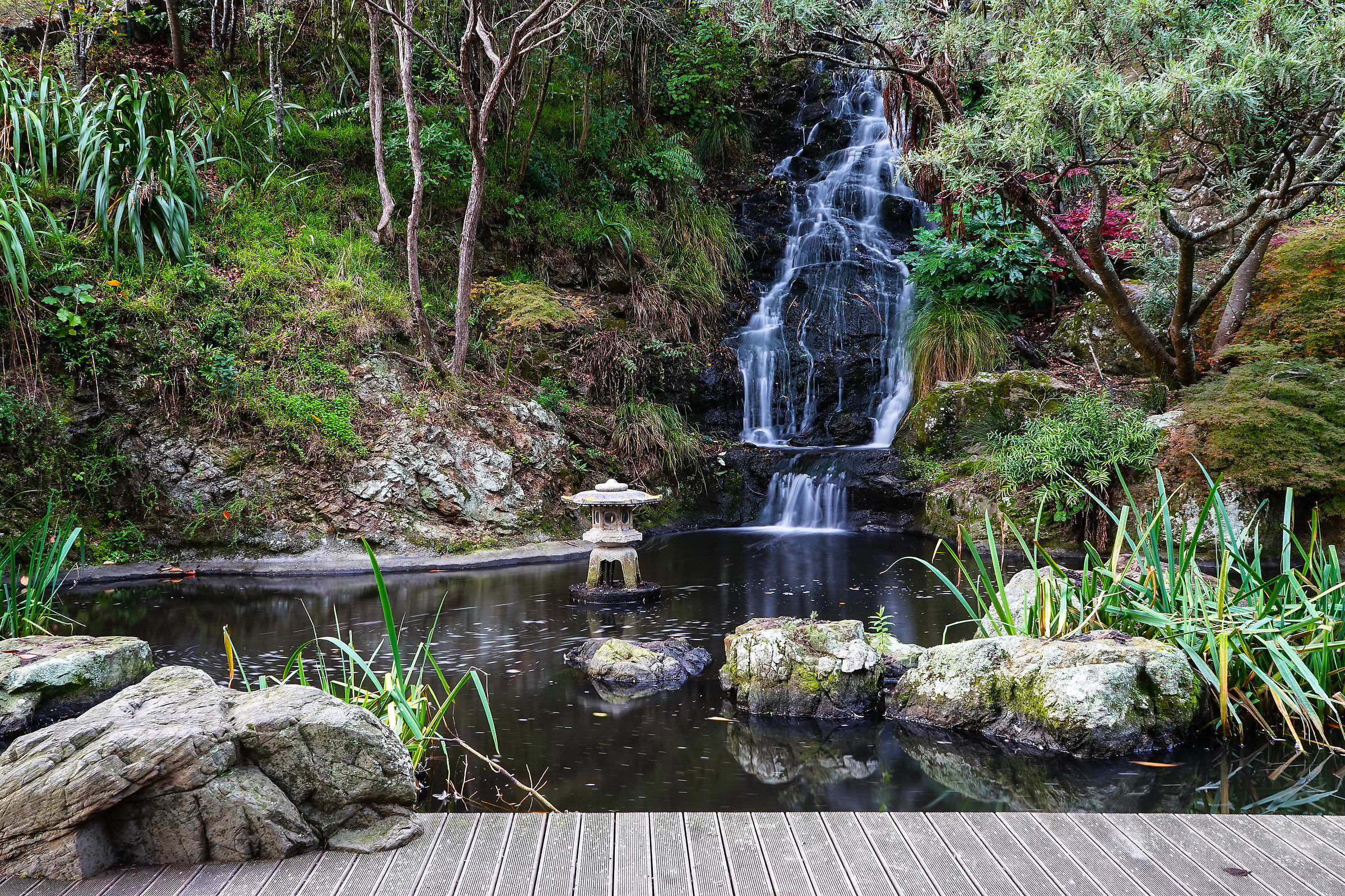 Giardino Zen - Wellington