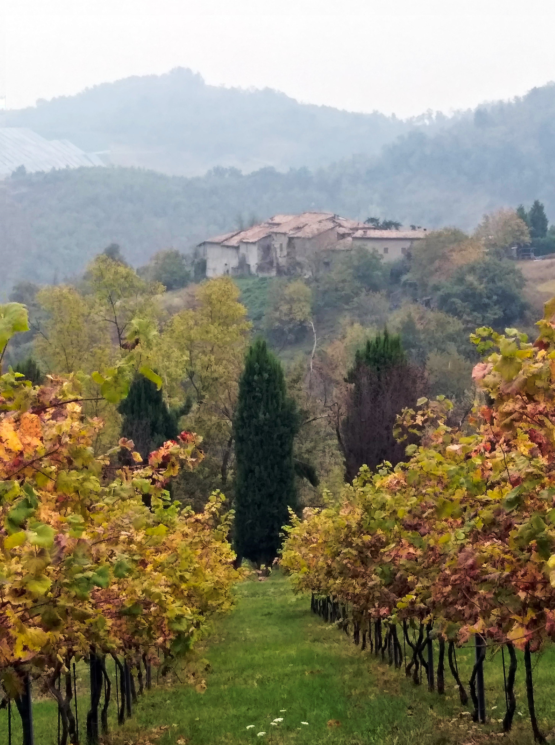 Autumn in Montebabbio