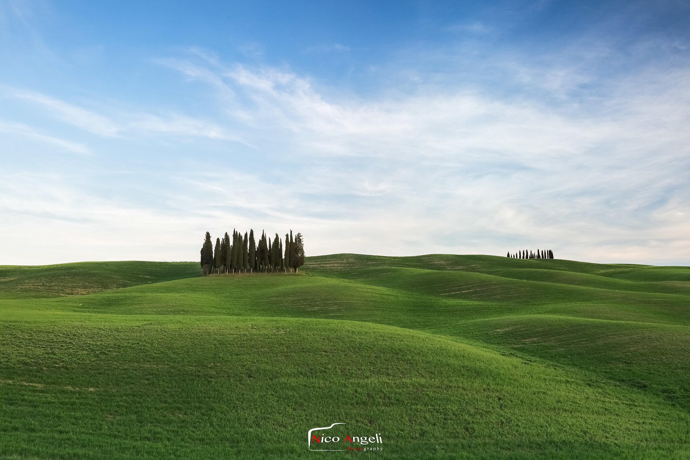 Il boschetto dei cipressi