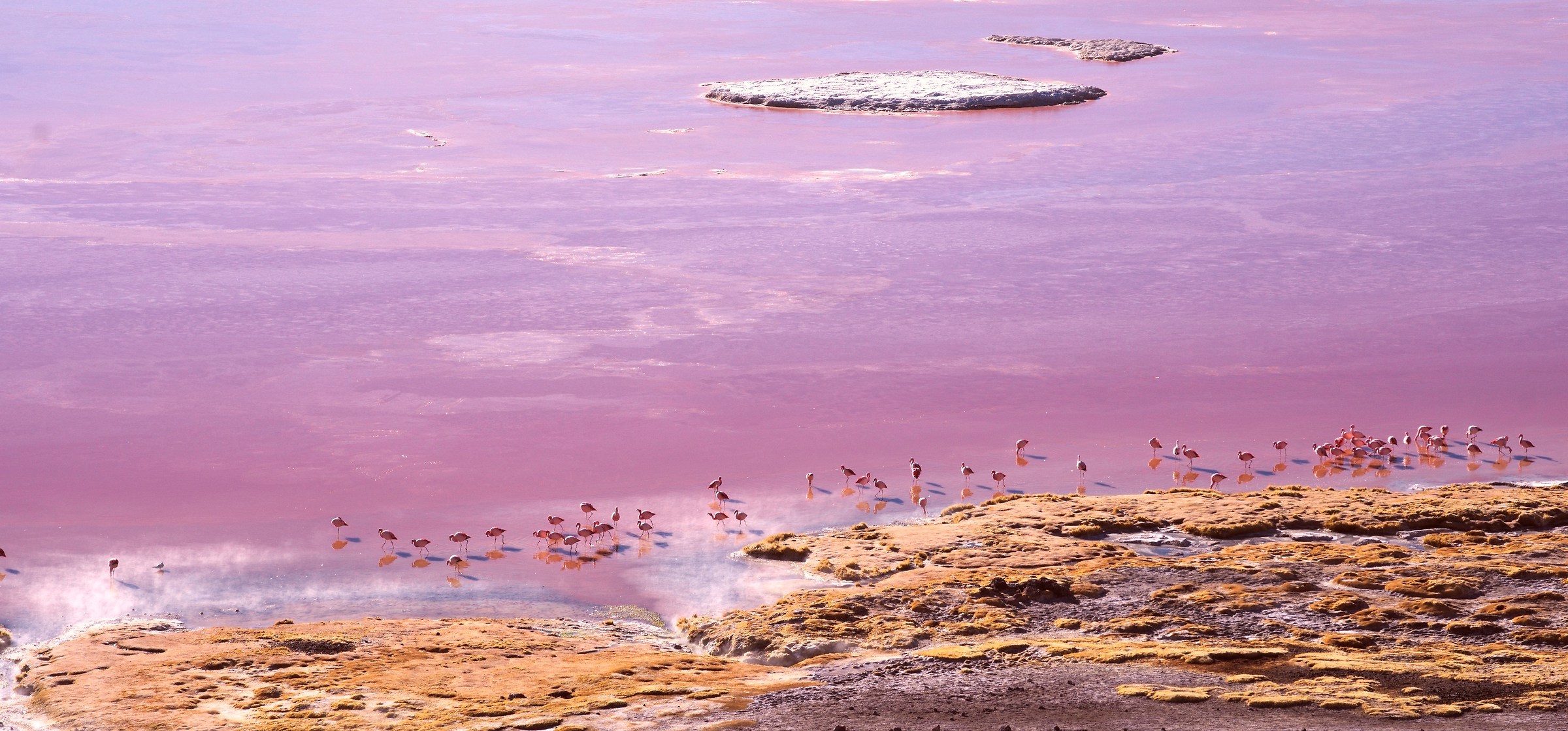 Laguna Colorada/Bolivia