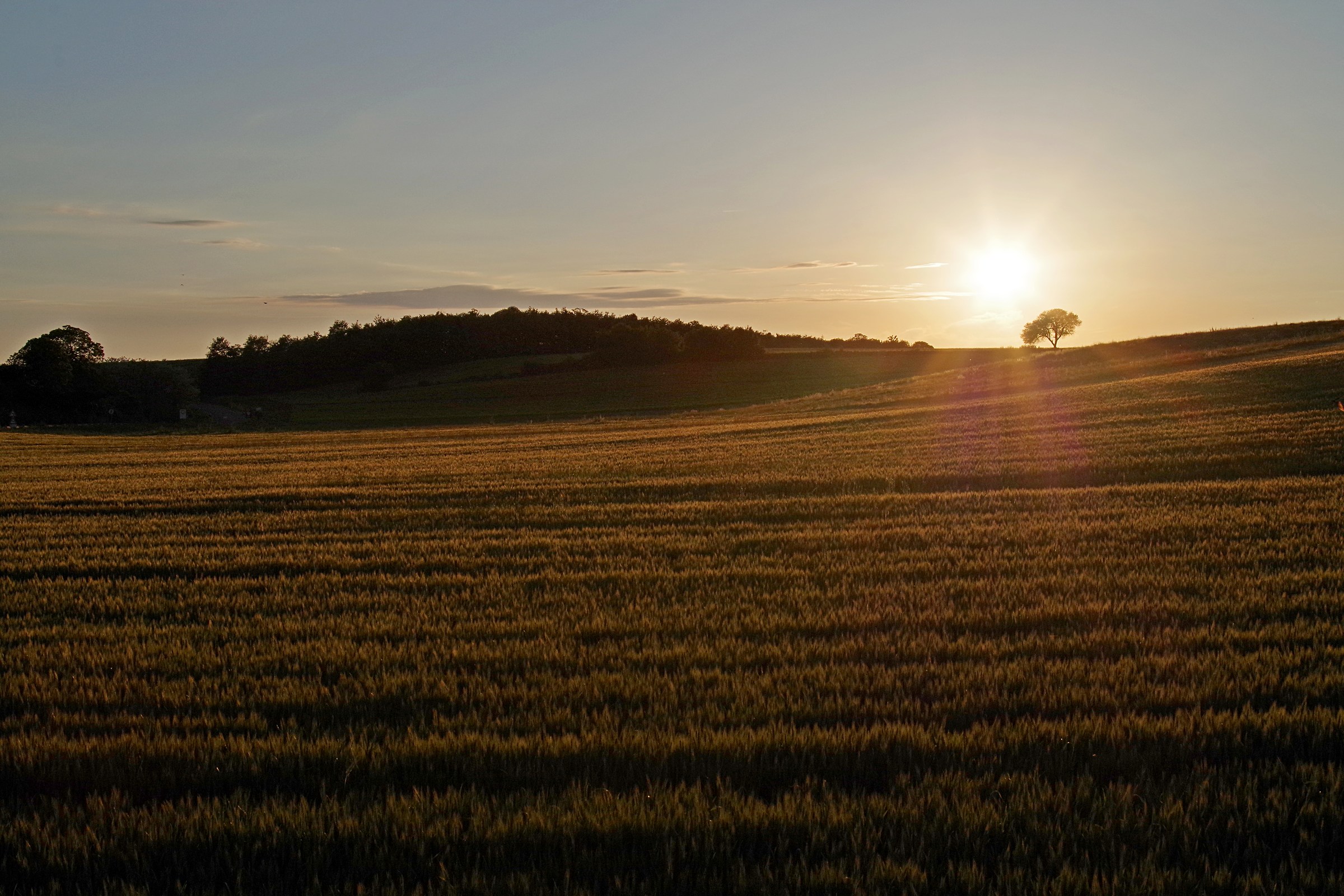 Ultima ora di lavoro