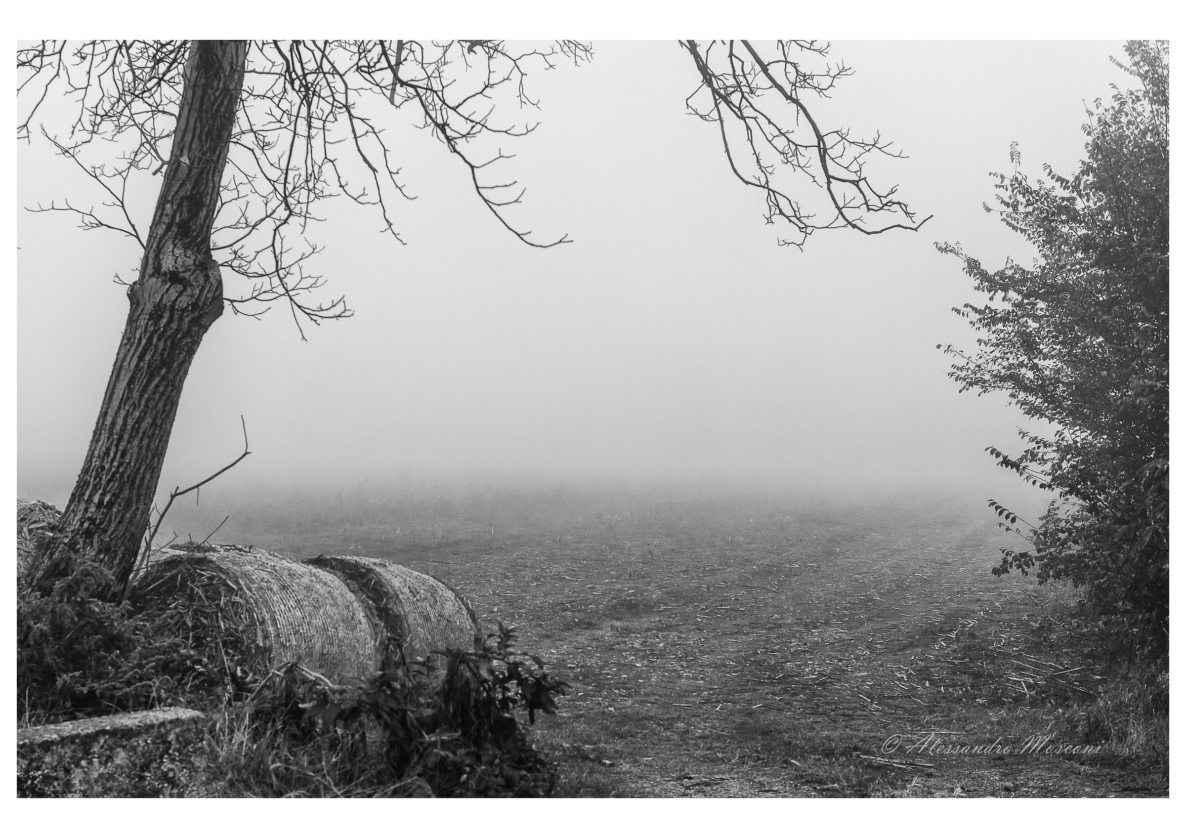 Prima nebbia dell'anno