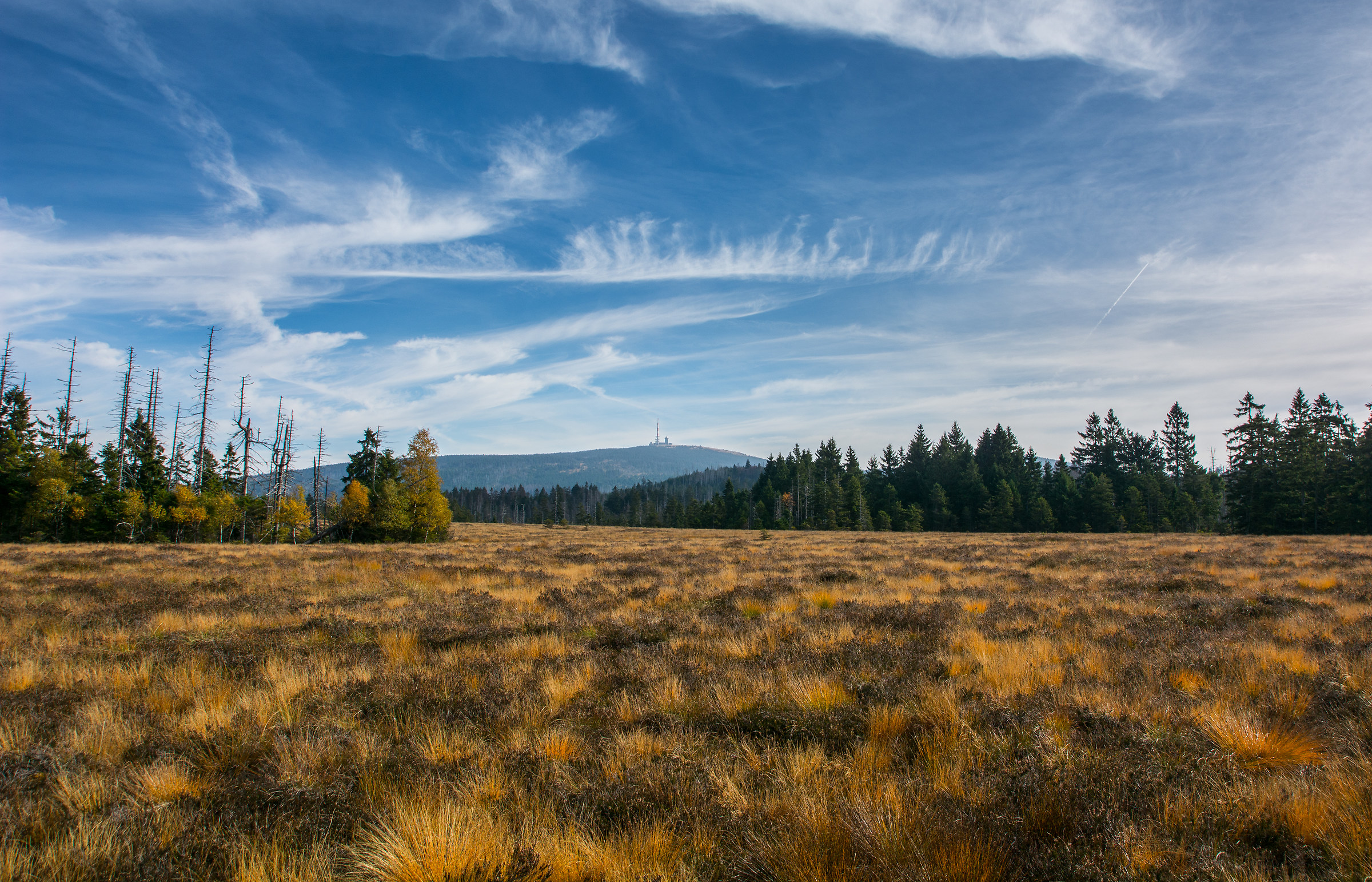 View on Brocken Mountain, Harz