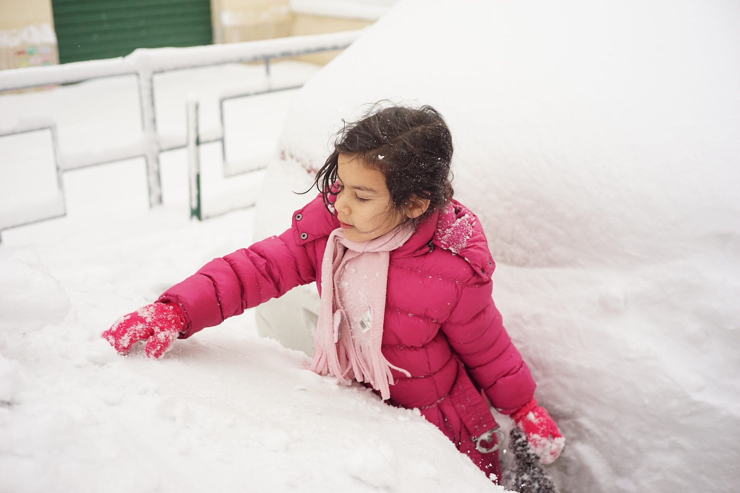 il senso di m. per la neve