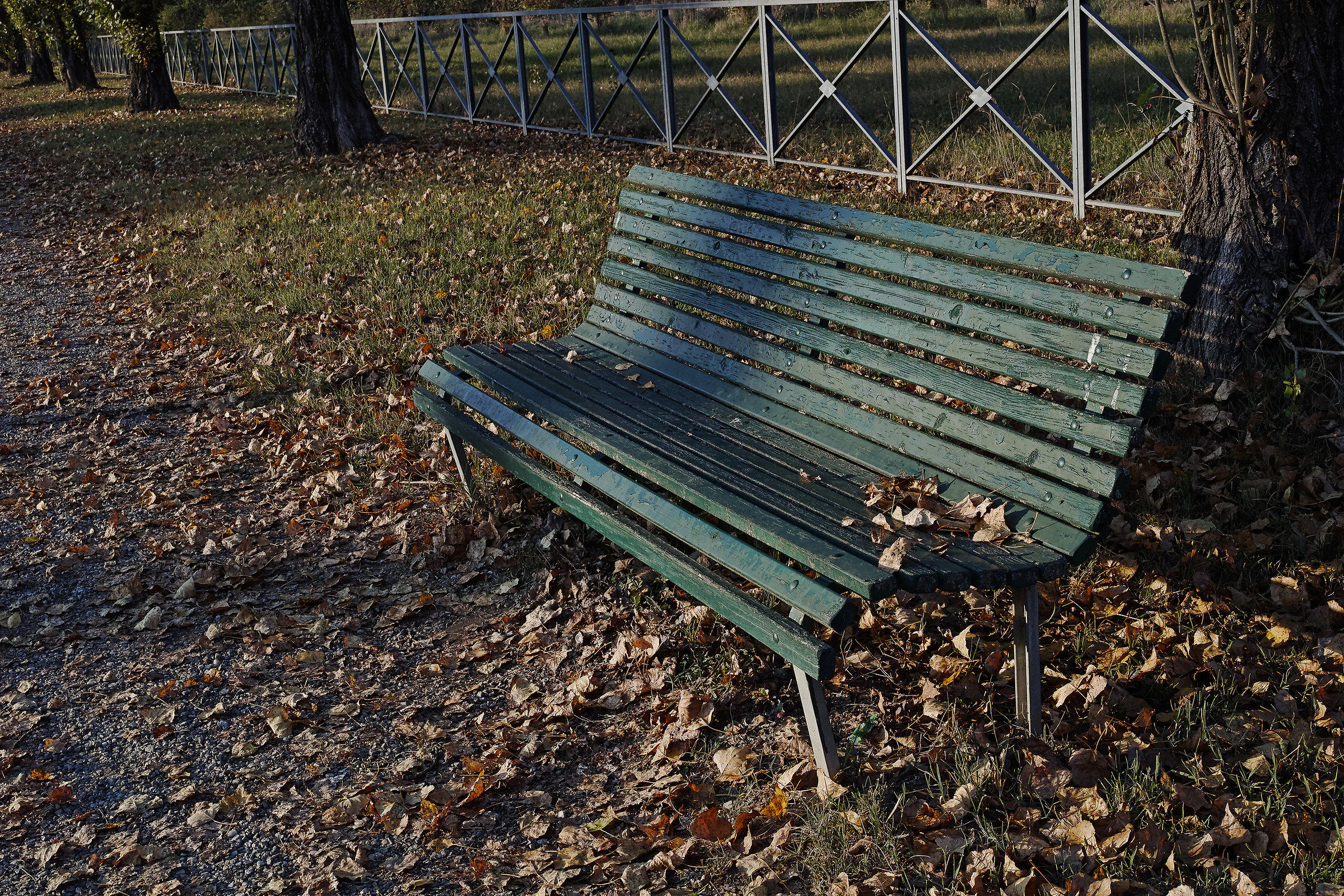 Bench