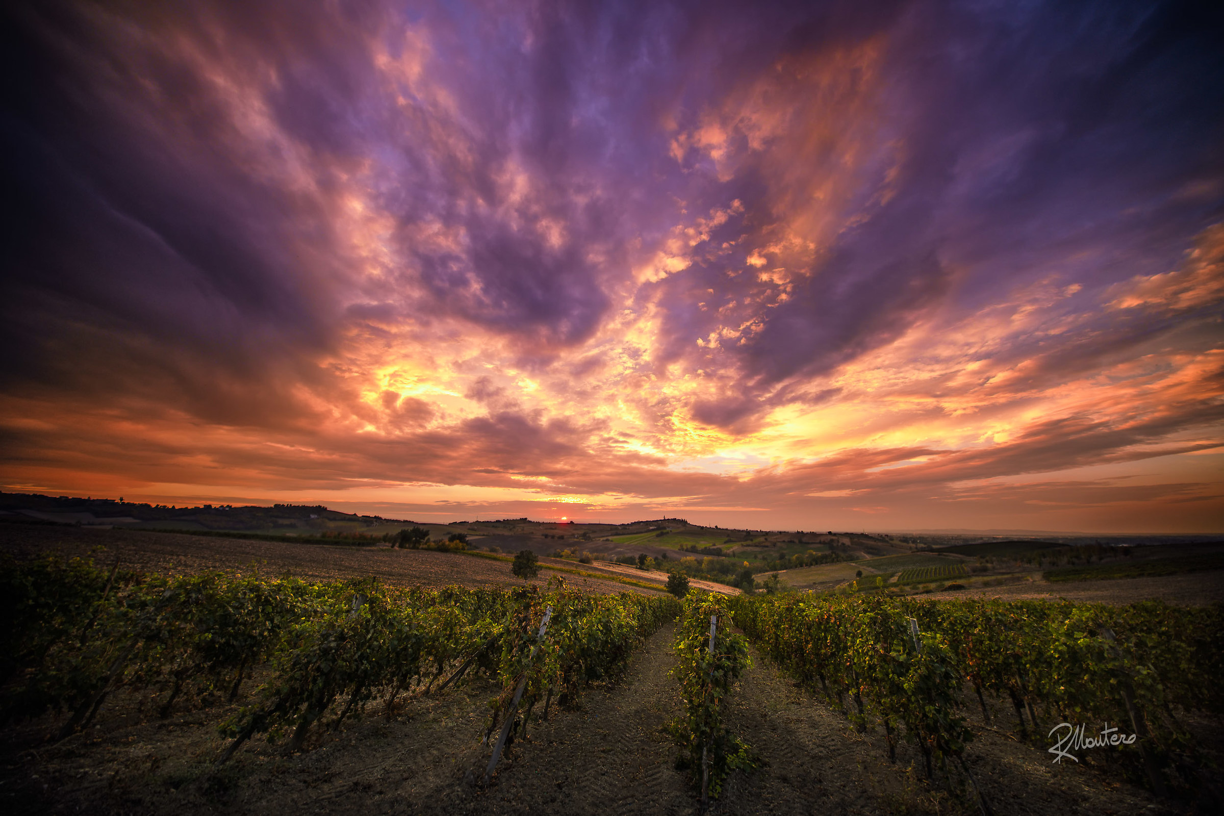 Vineyard Supersunset