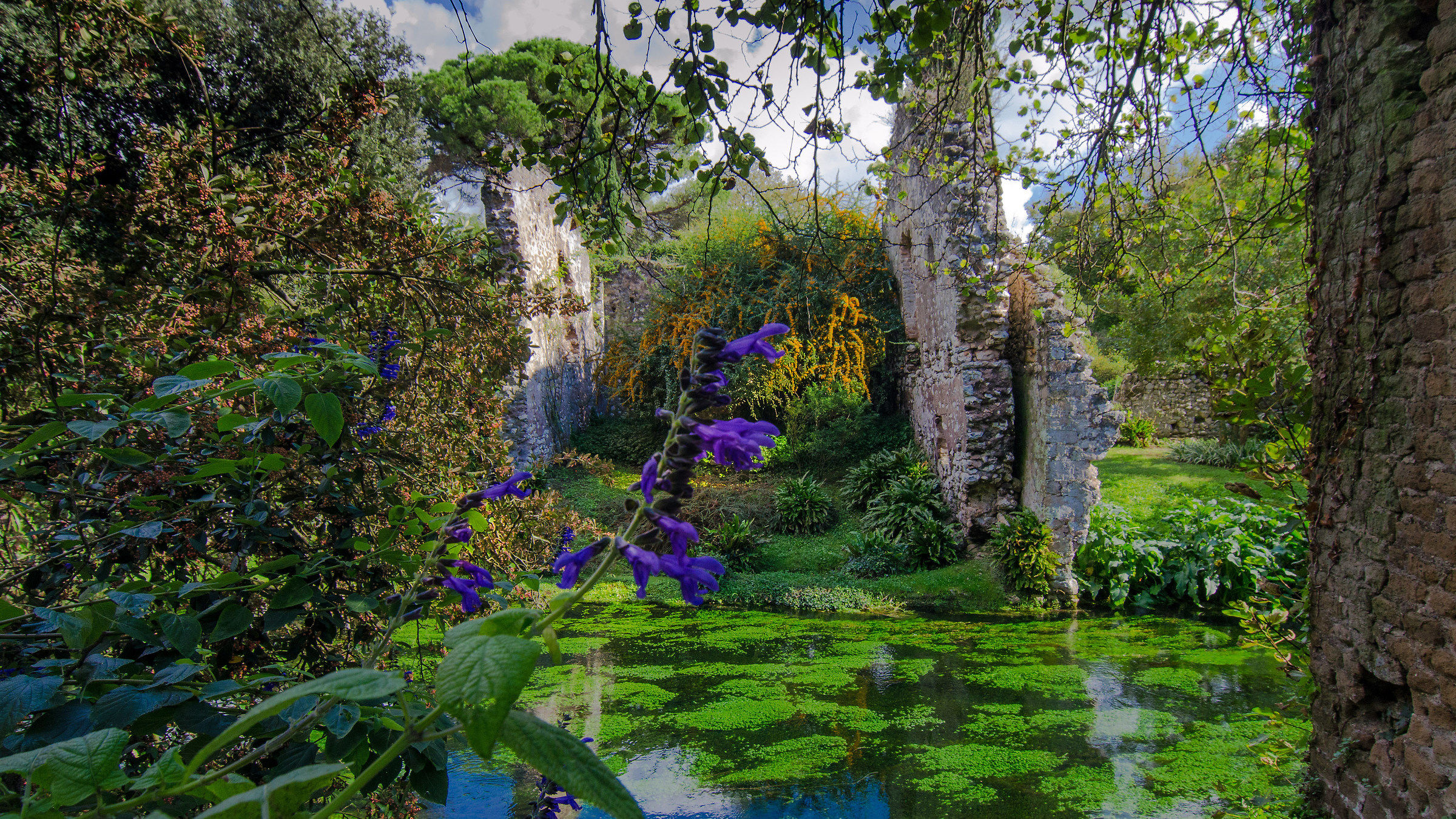 Fiume Ninfa - scorcio n. 2