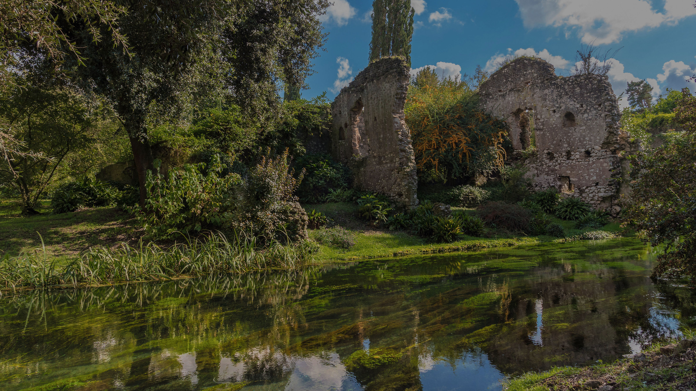 Fiume Ninfa - scorcio n.3