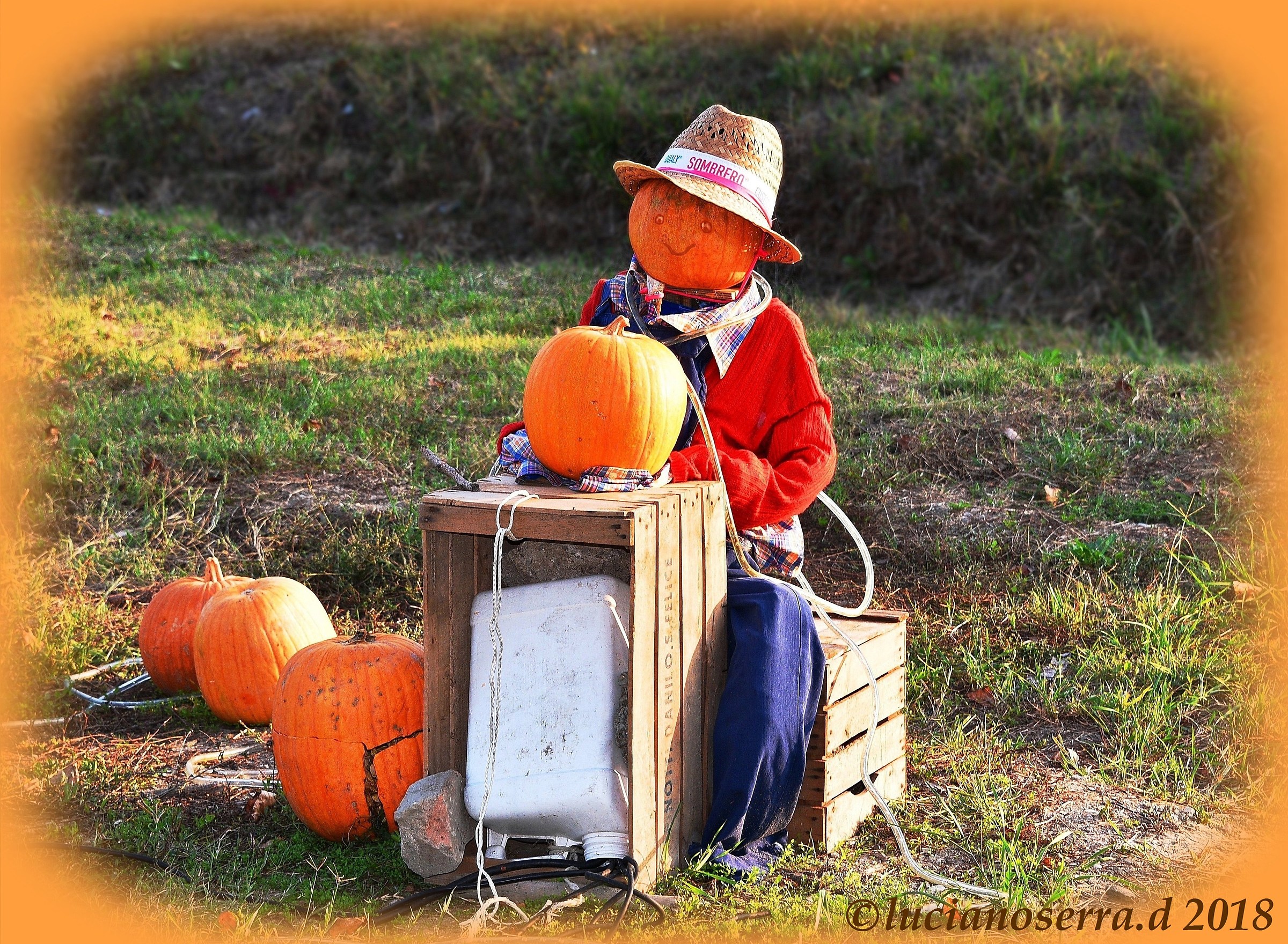 A pumpkin vendor in Medolla (Mo)