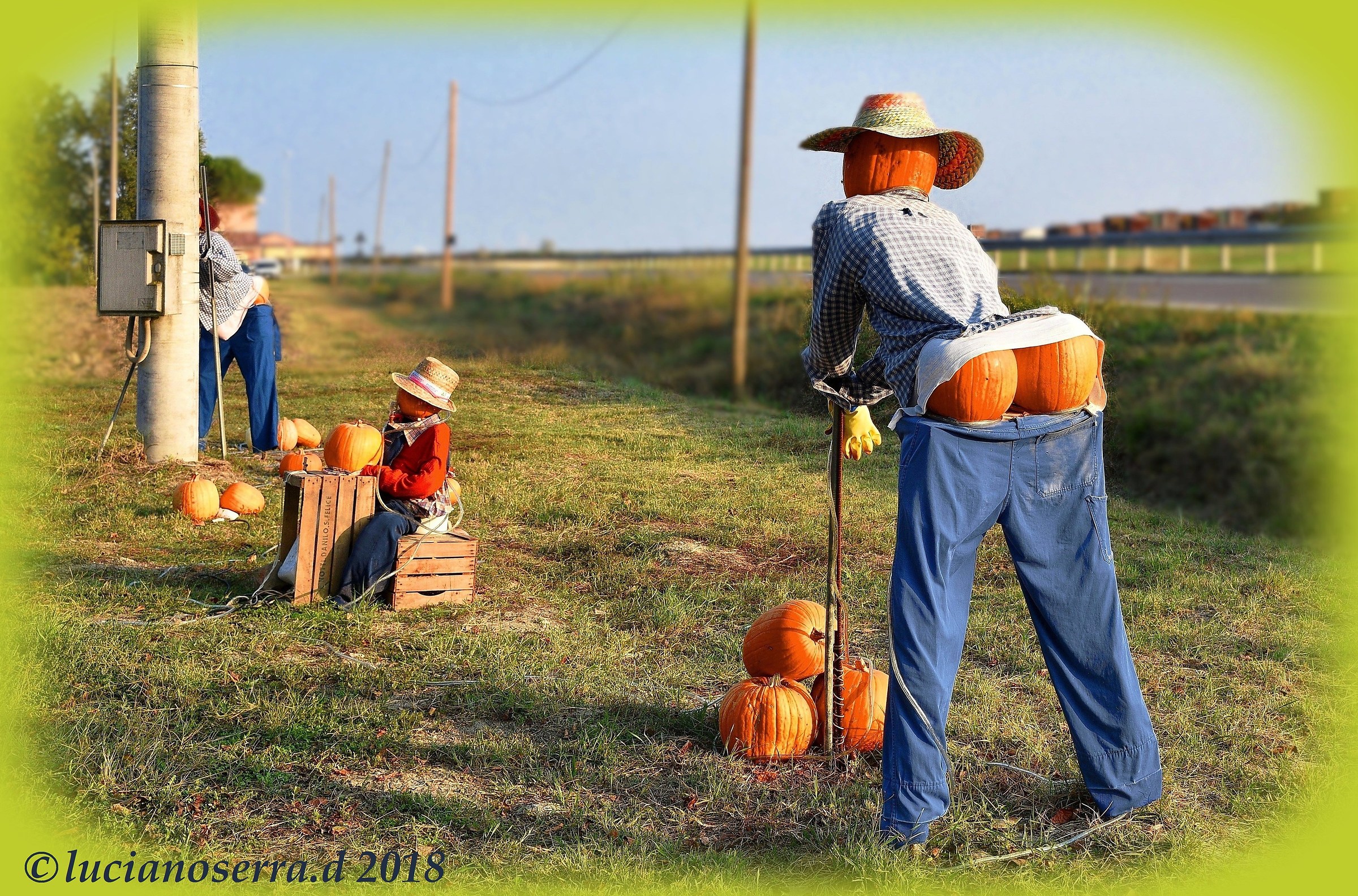 Enterpriser Pumpkin sellers... in Medolla (Mo)