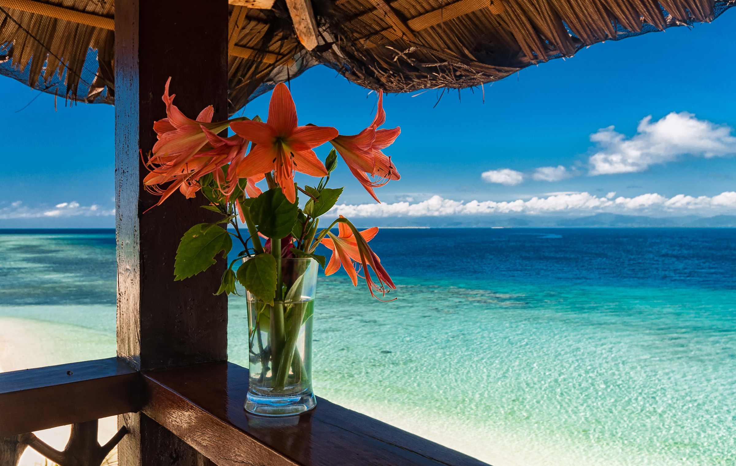 Welcome to Paradise, Welcome to Palawan