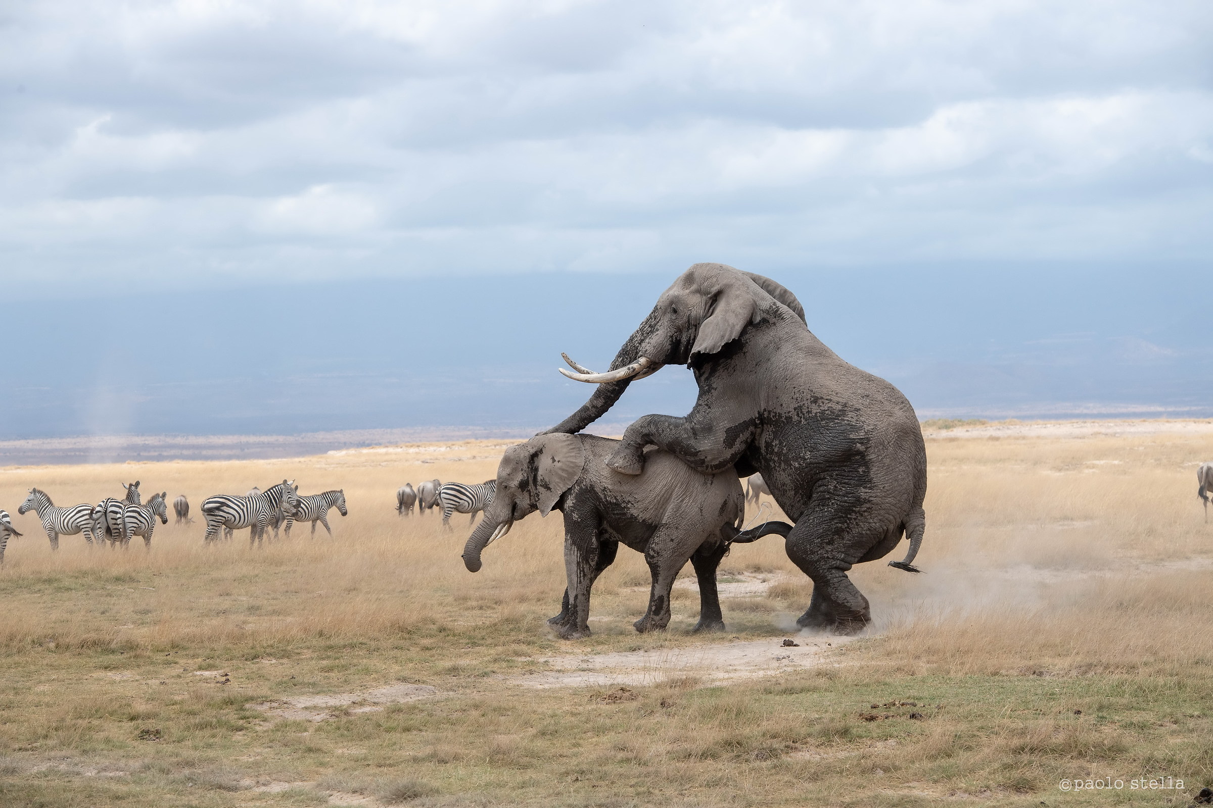 Finally you're there