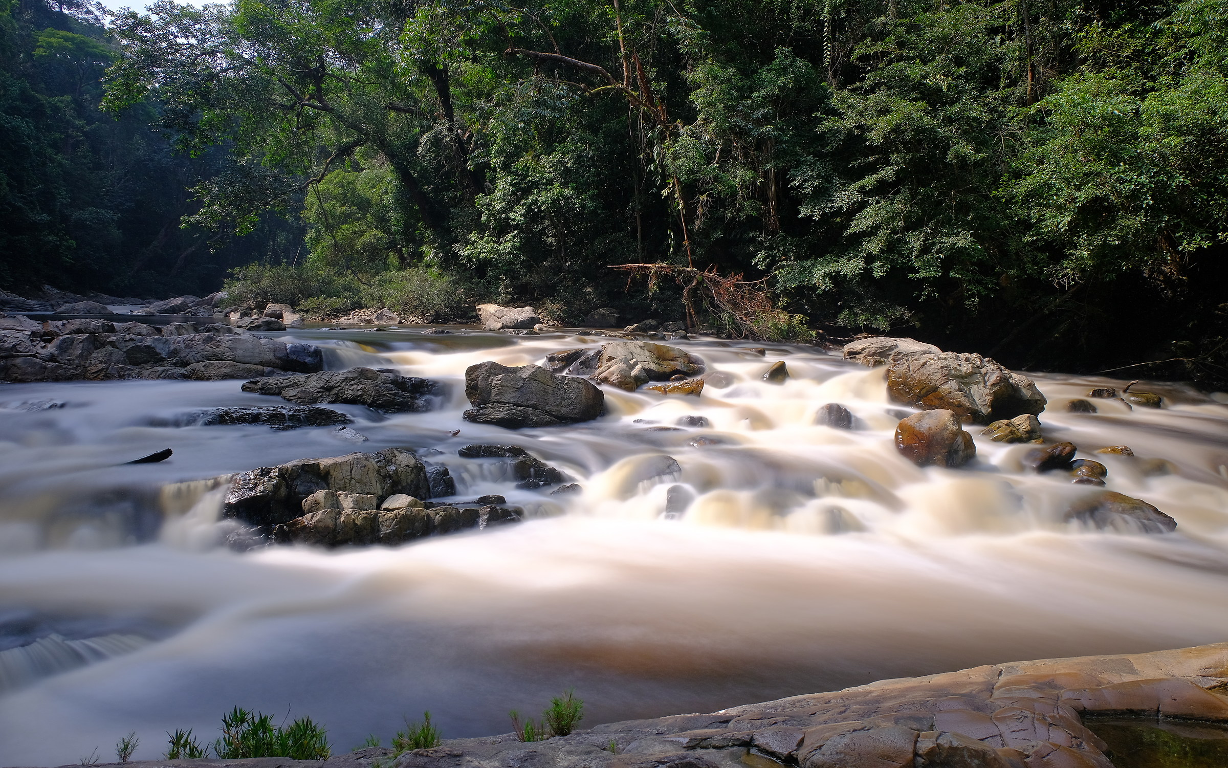 Tembeling River. Taman Negara National Park. Malaysia