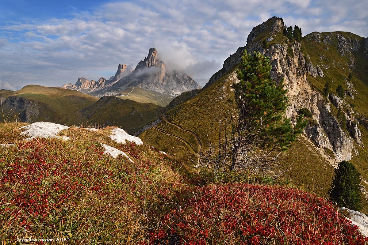 Ra Gusela dalla Forcella di Col Piombin #2