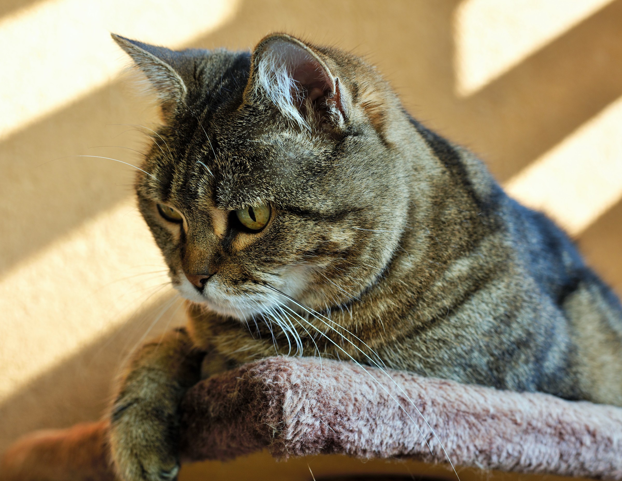 And yet something moves