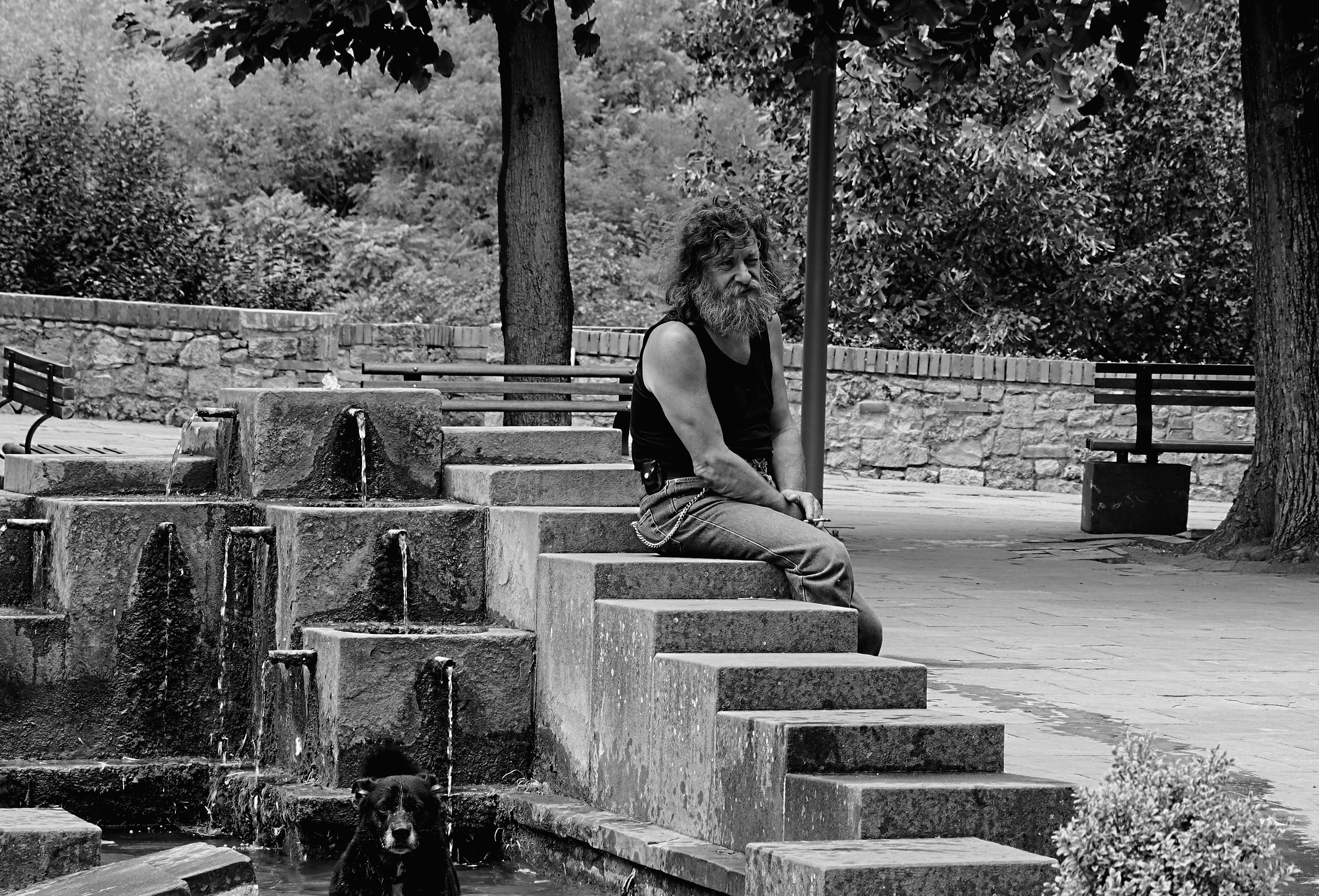 Il vecchio rocker e il suo cane