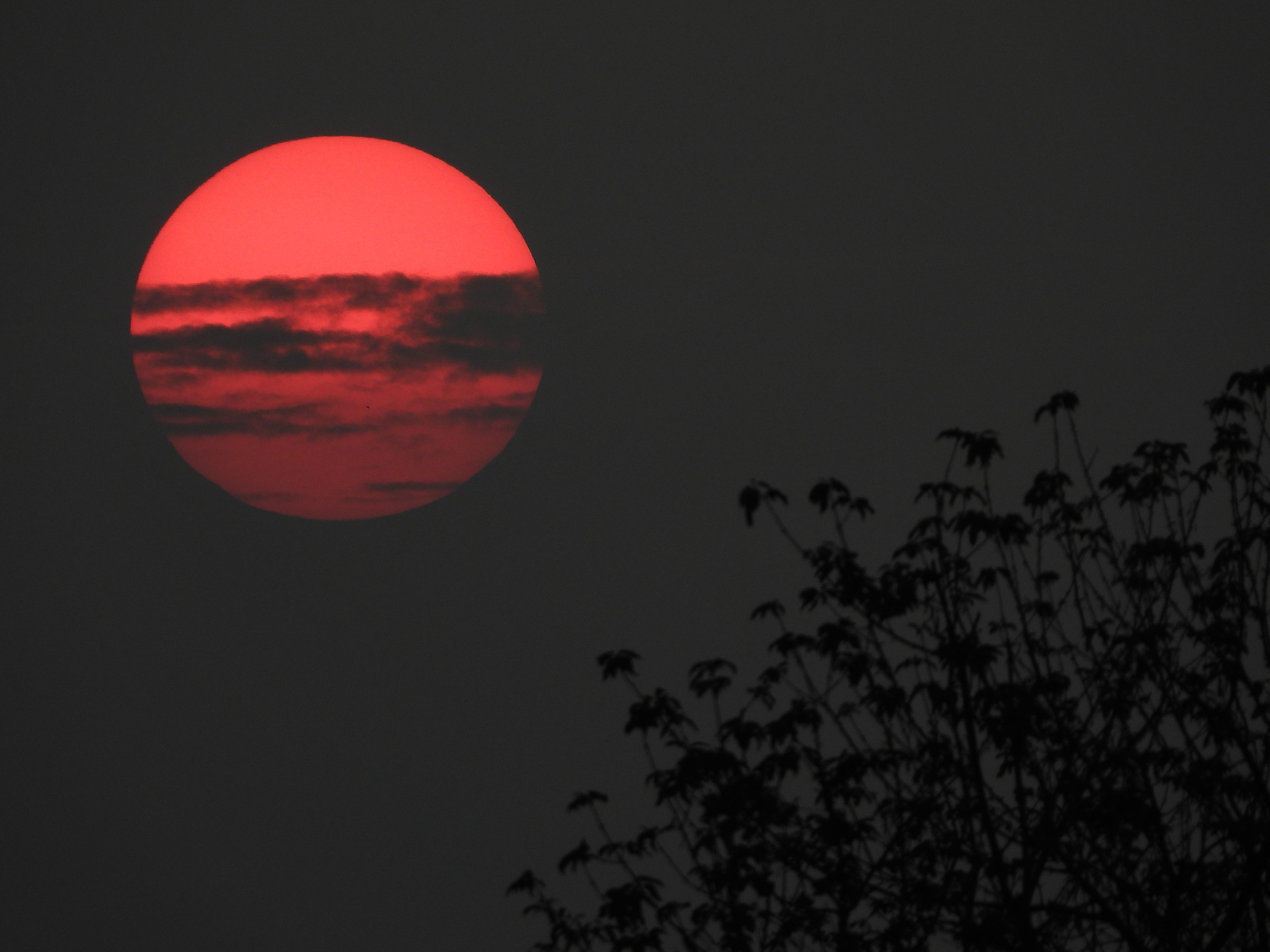 Sunset-zoom 1200mm