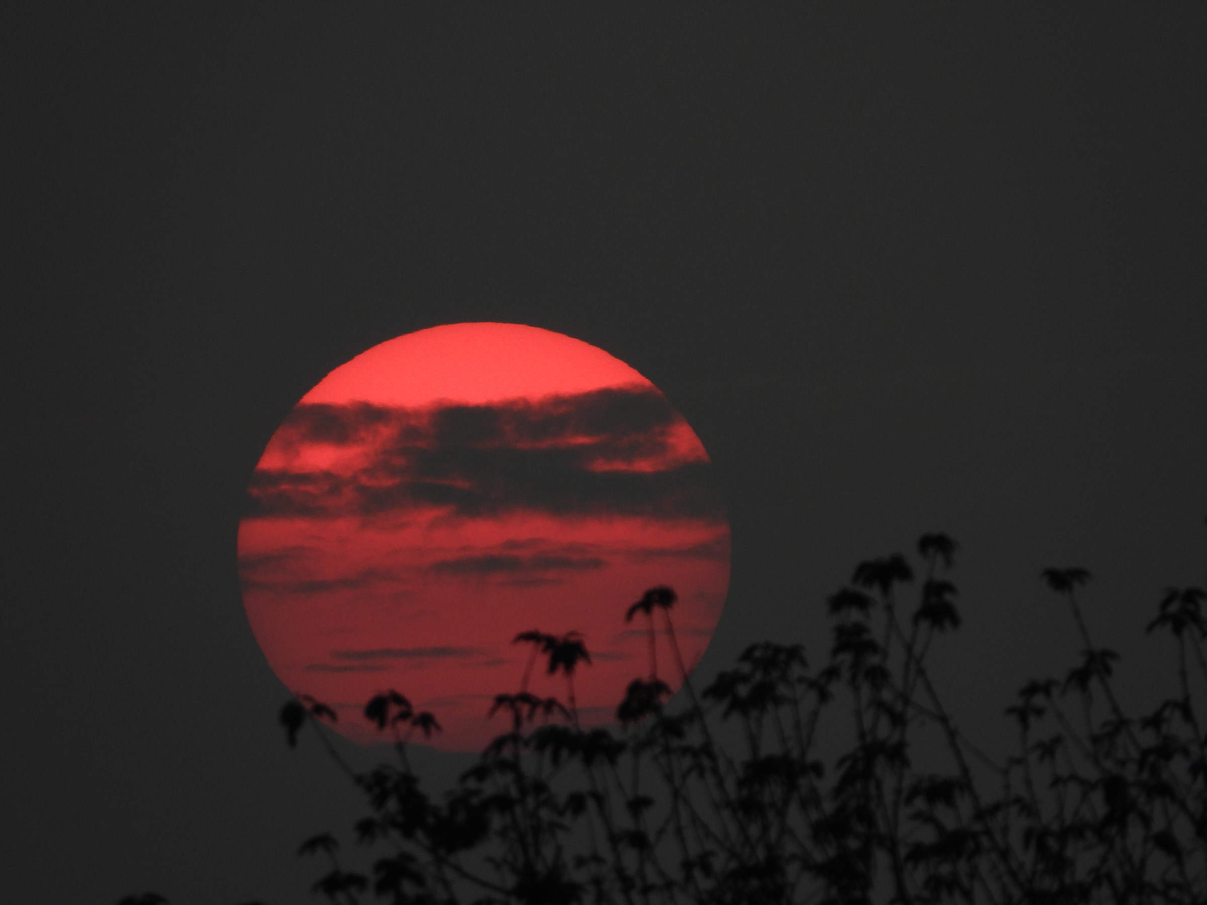 Sunset-zoom 1500mm