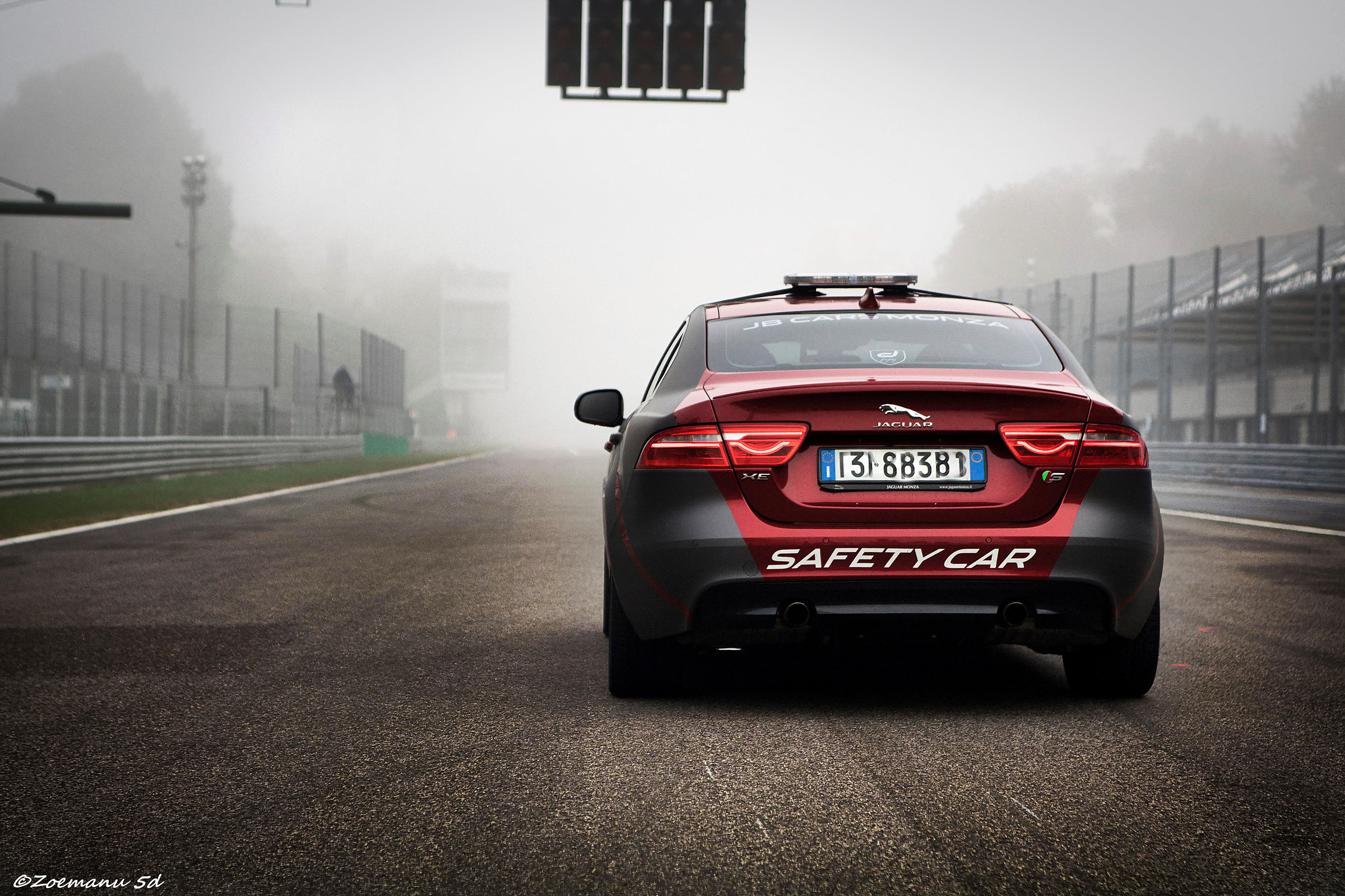 Jaguar in the Fog