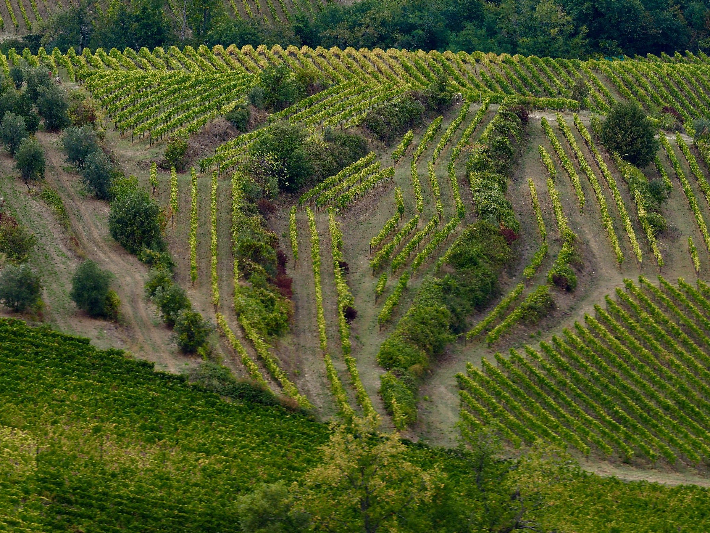 Geometrie nel Chianti