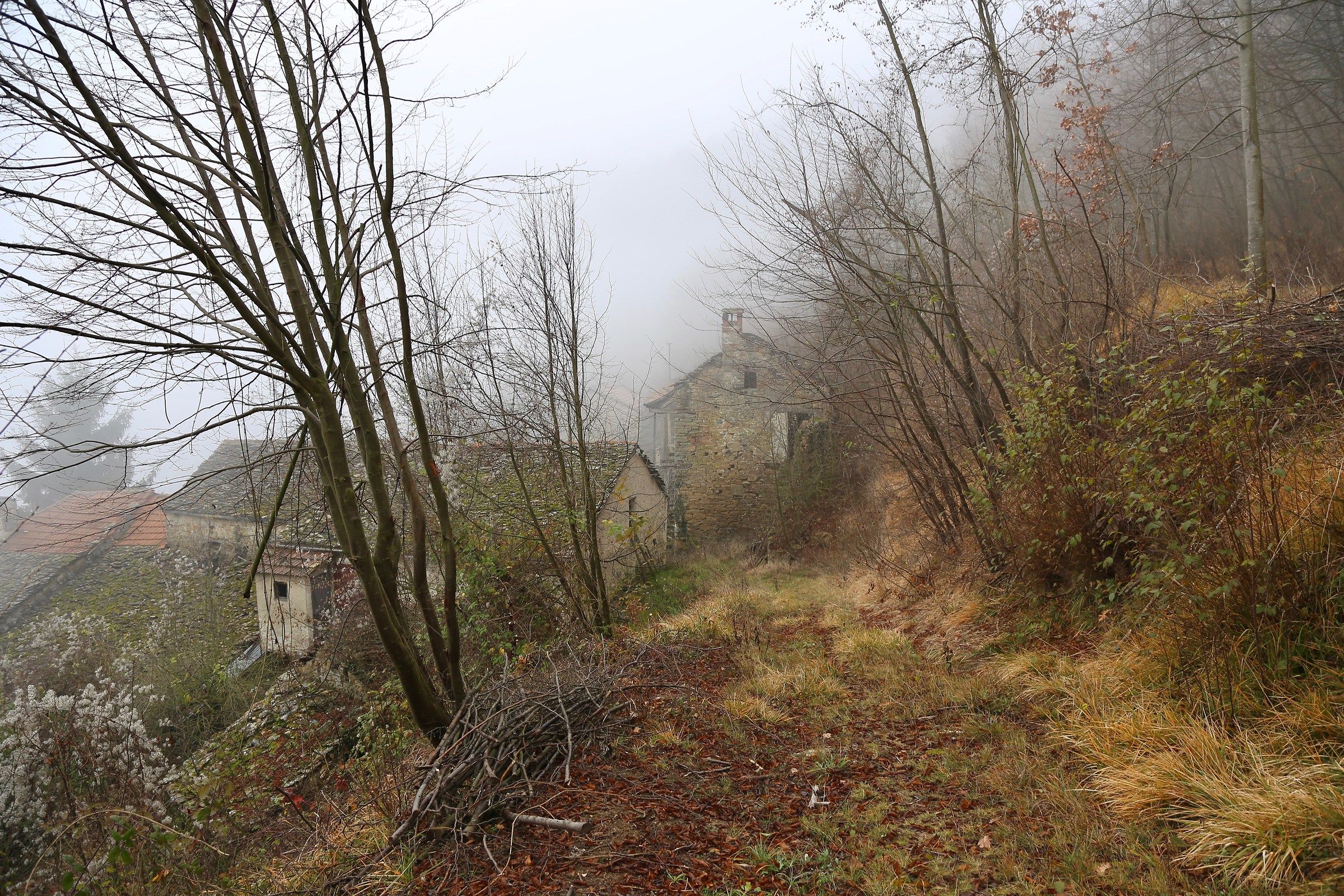 Return to Ricosa (mombarcaro)