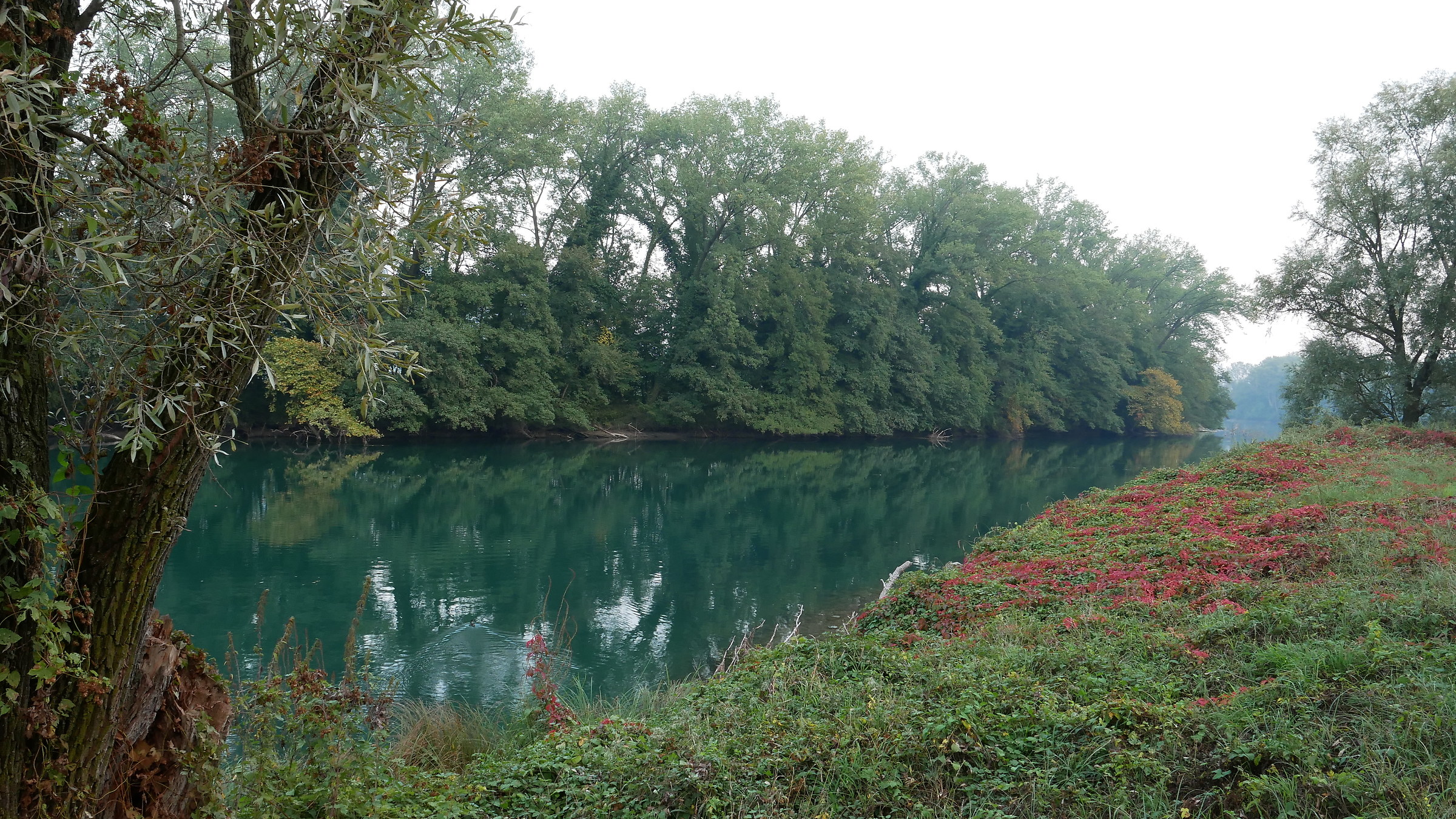 Adda, the first colours of autumn 4