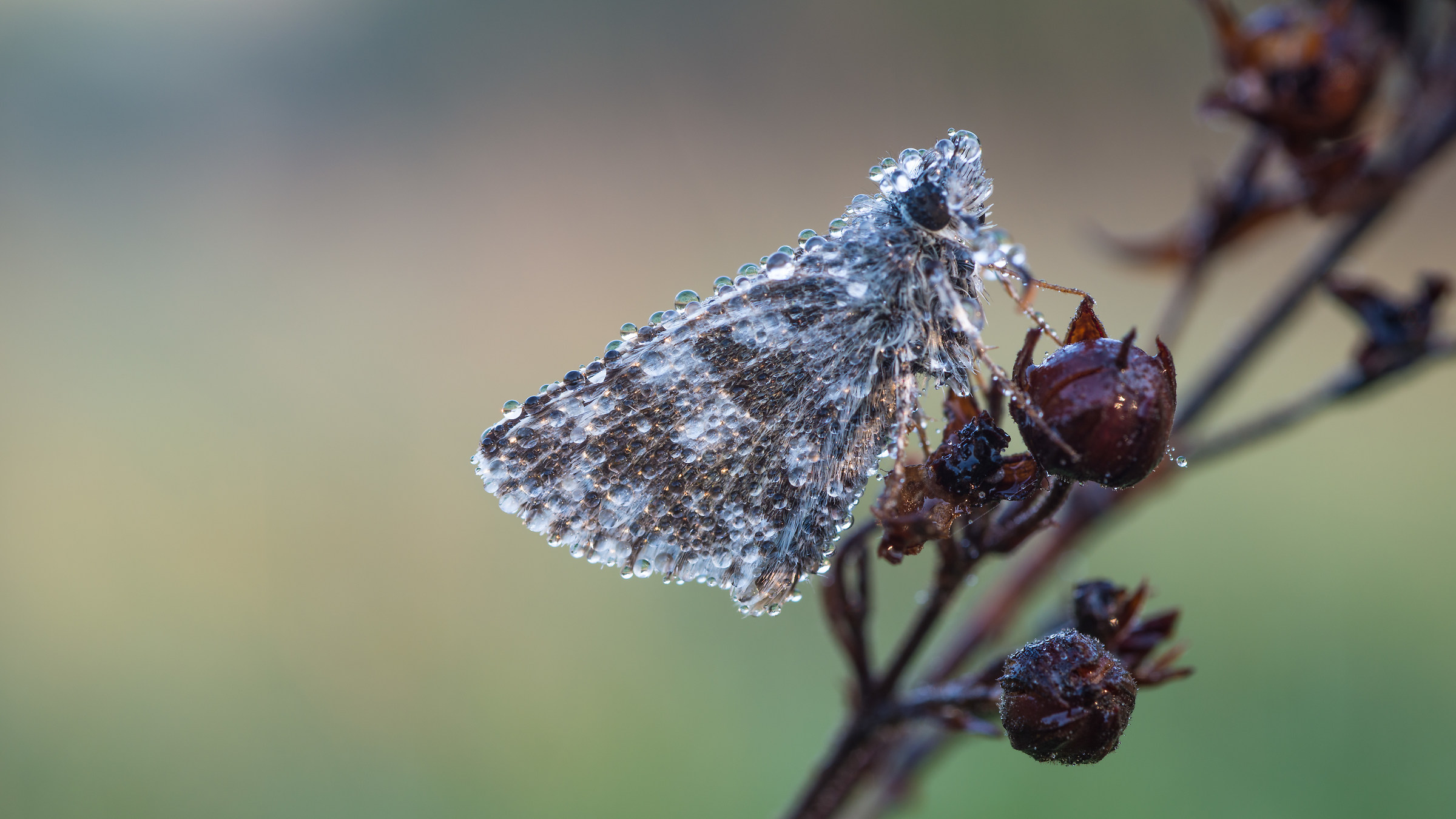 ... the warmth of the first rays...
