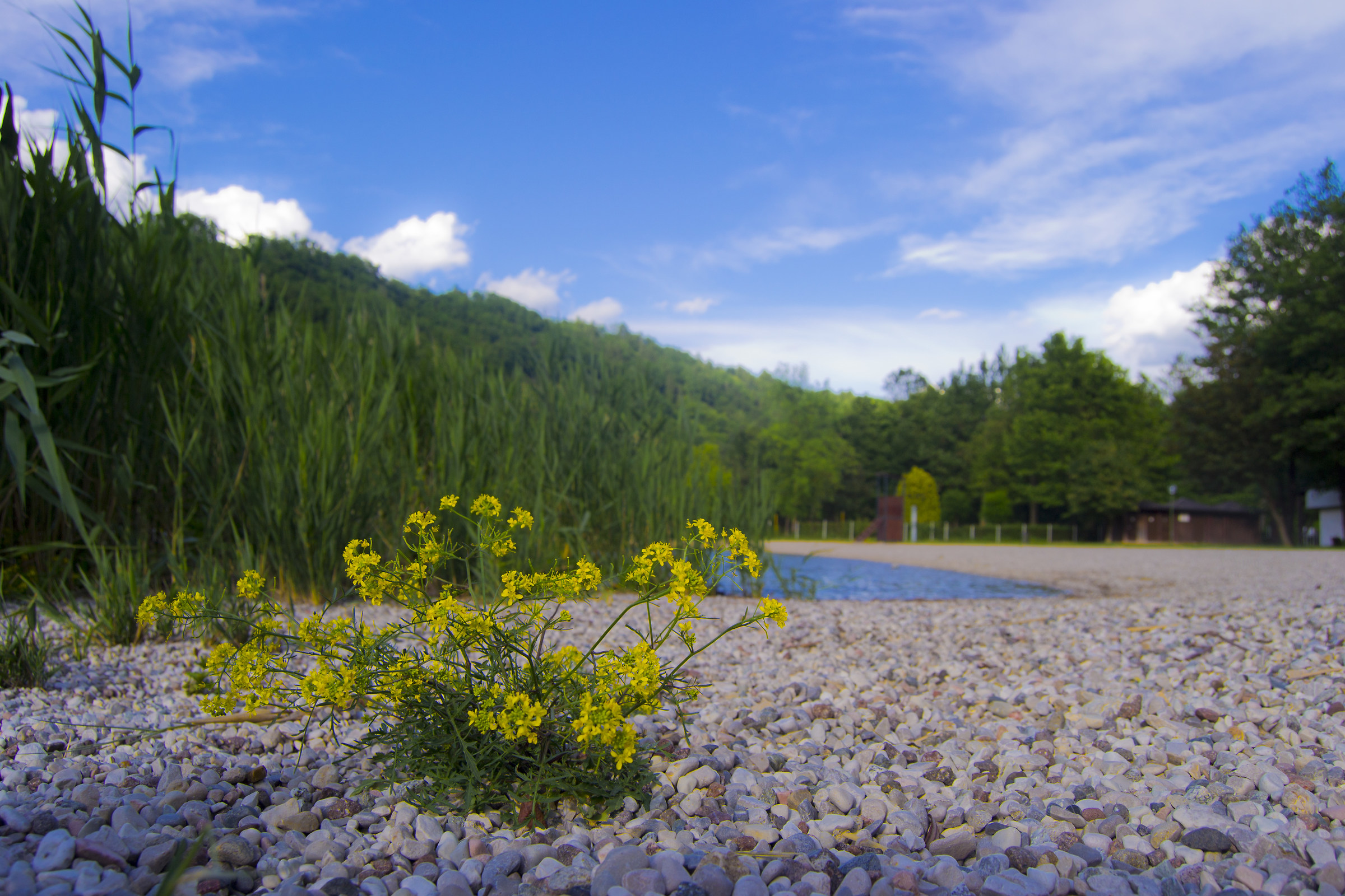 Lake Caldonazzo Beach