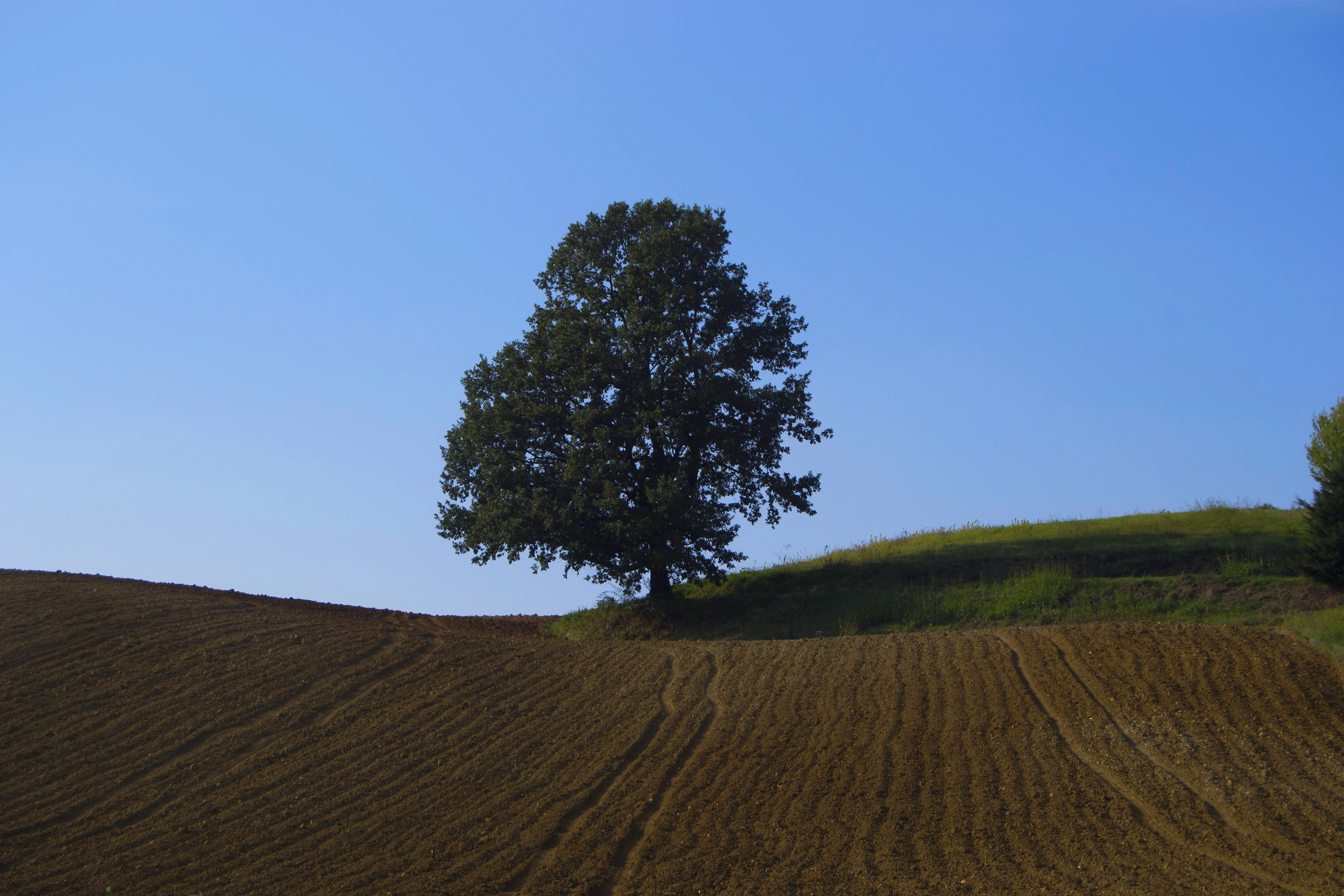 Alseno PC (surroundings)