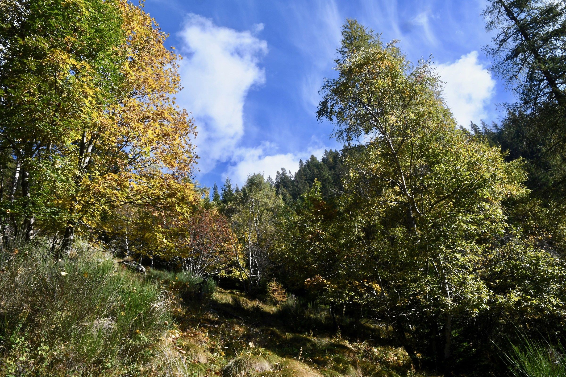 Autumn in Alta Val Brembana