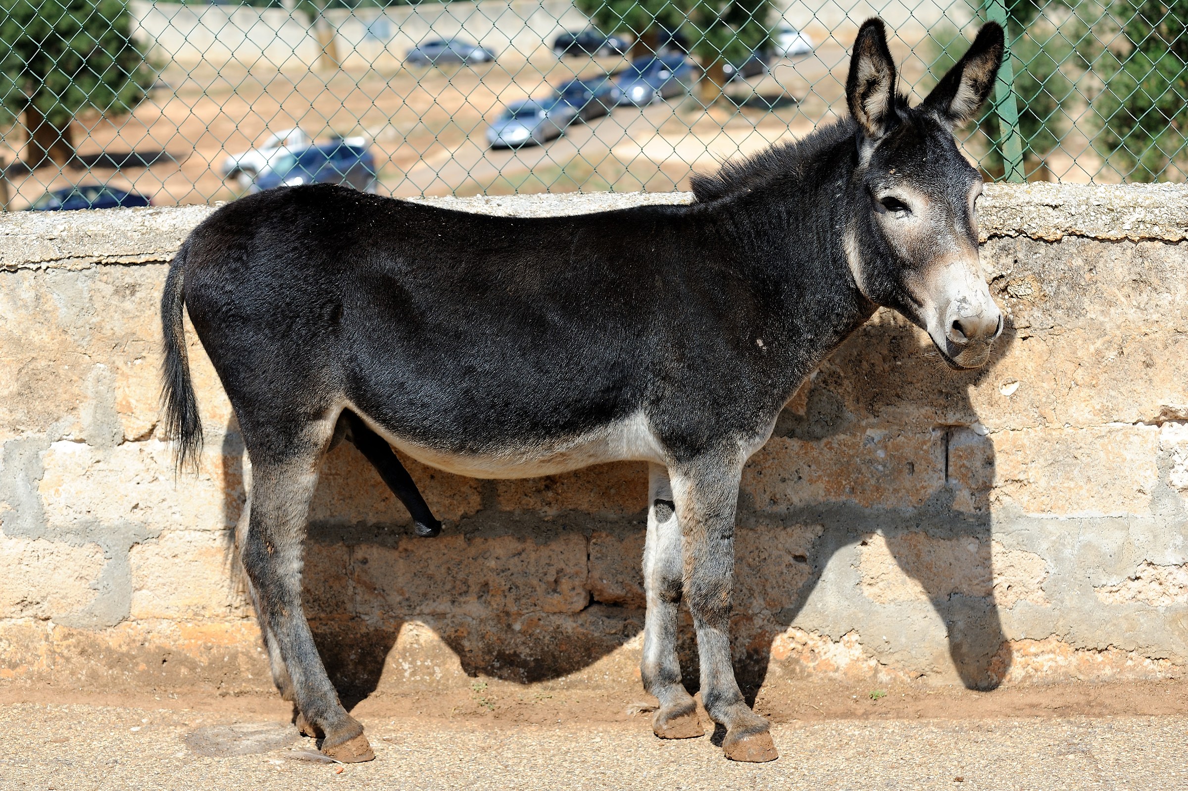 And then they say the measures don't matter.........