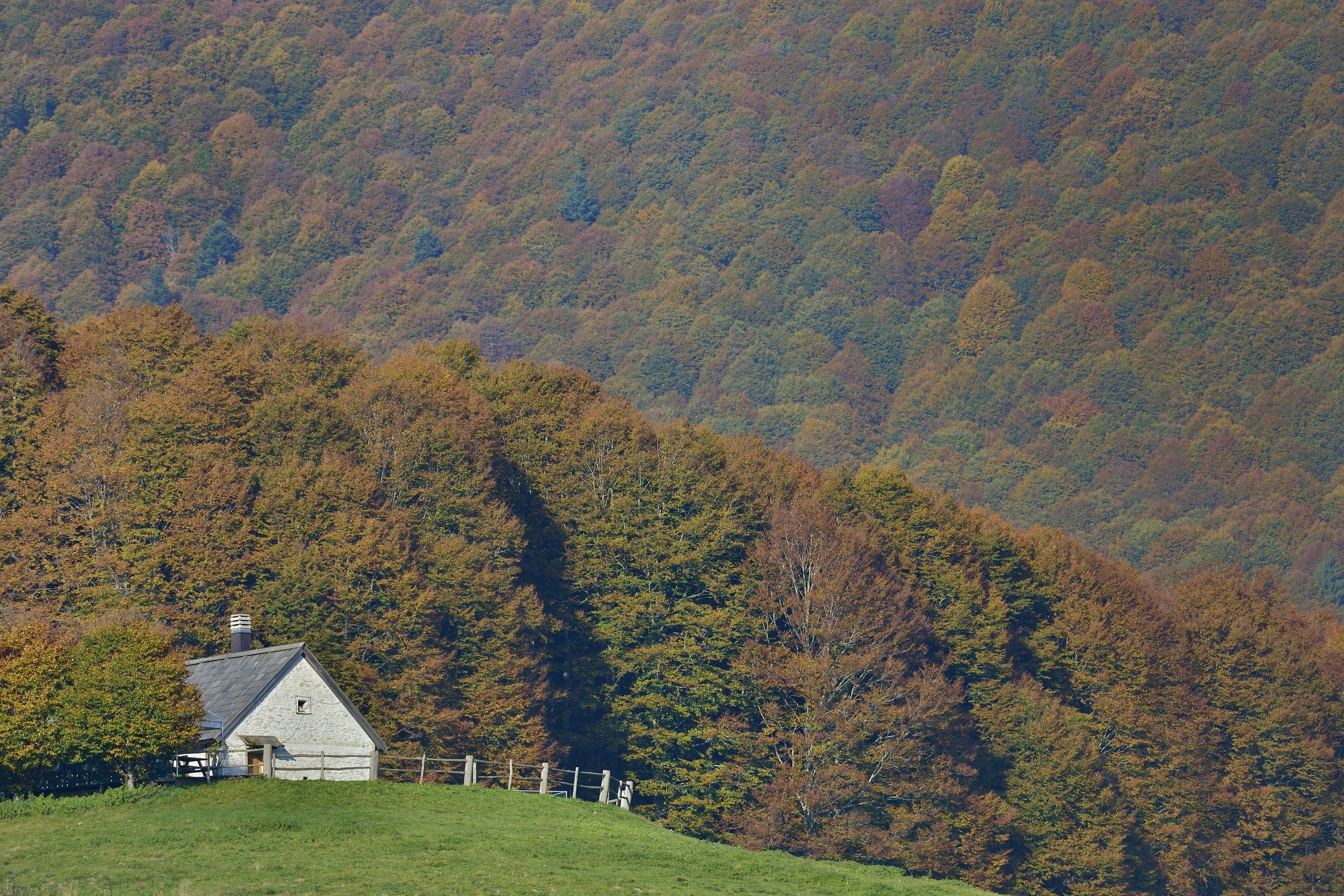 la casetta nel bosco...