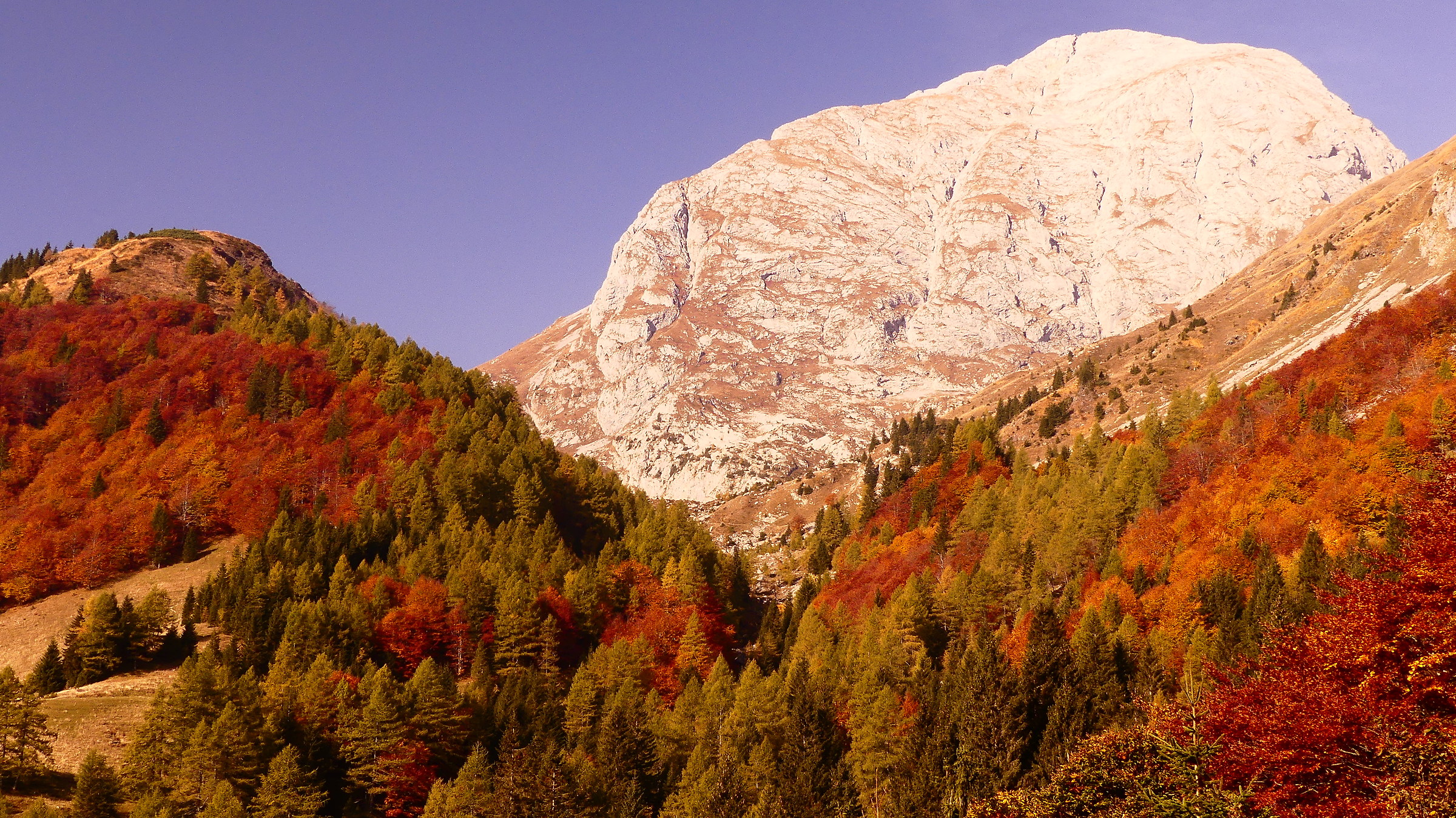 Il risveglio dell'autunno