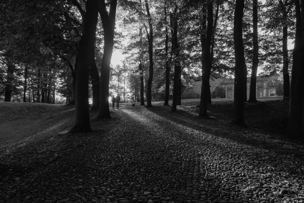 Walking into the light