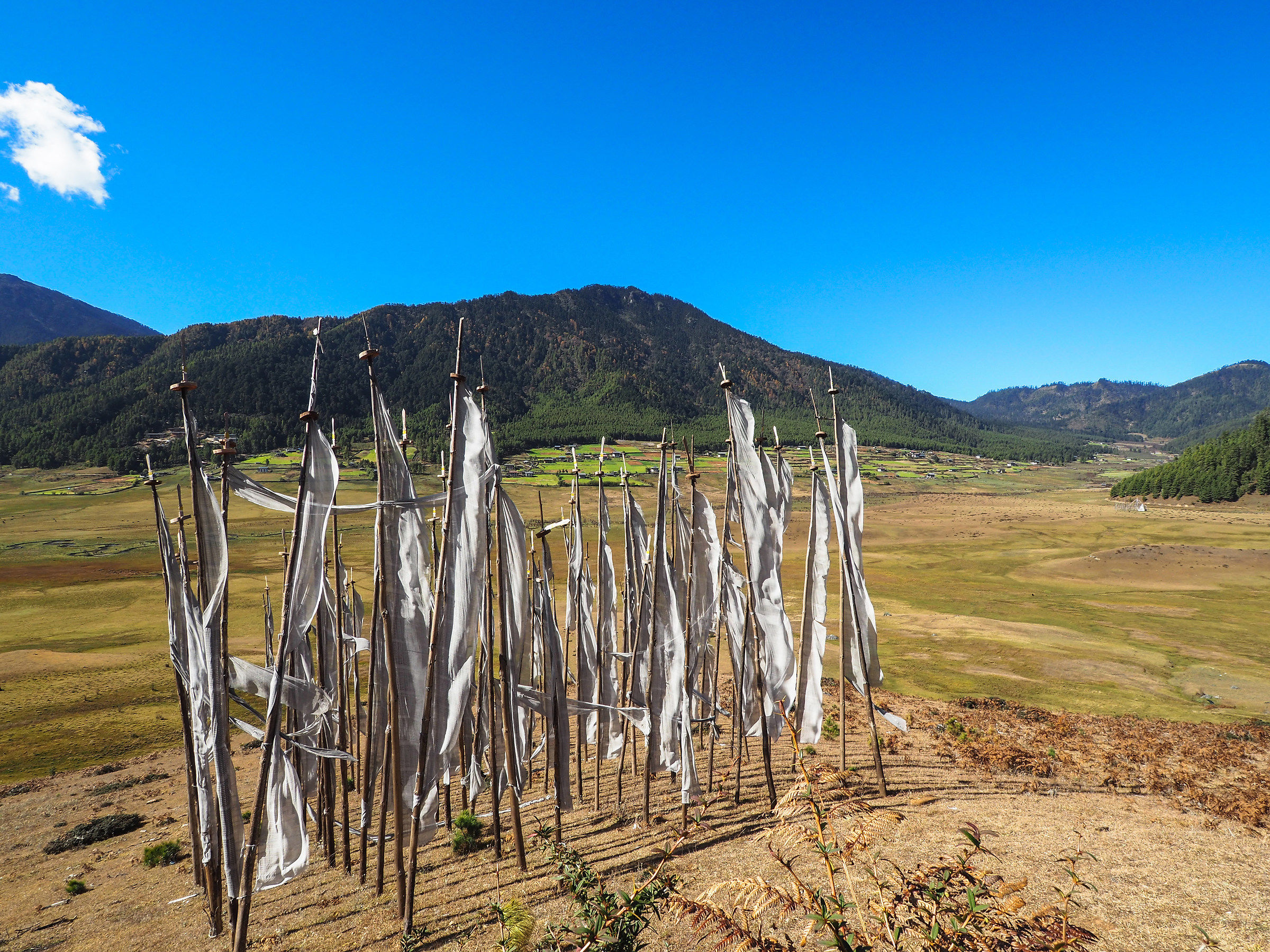 Prayer banner at Phobjikha Valley