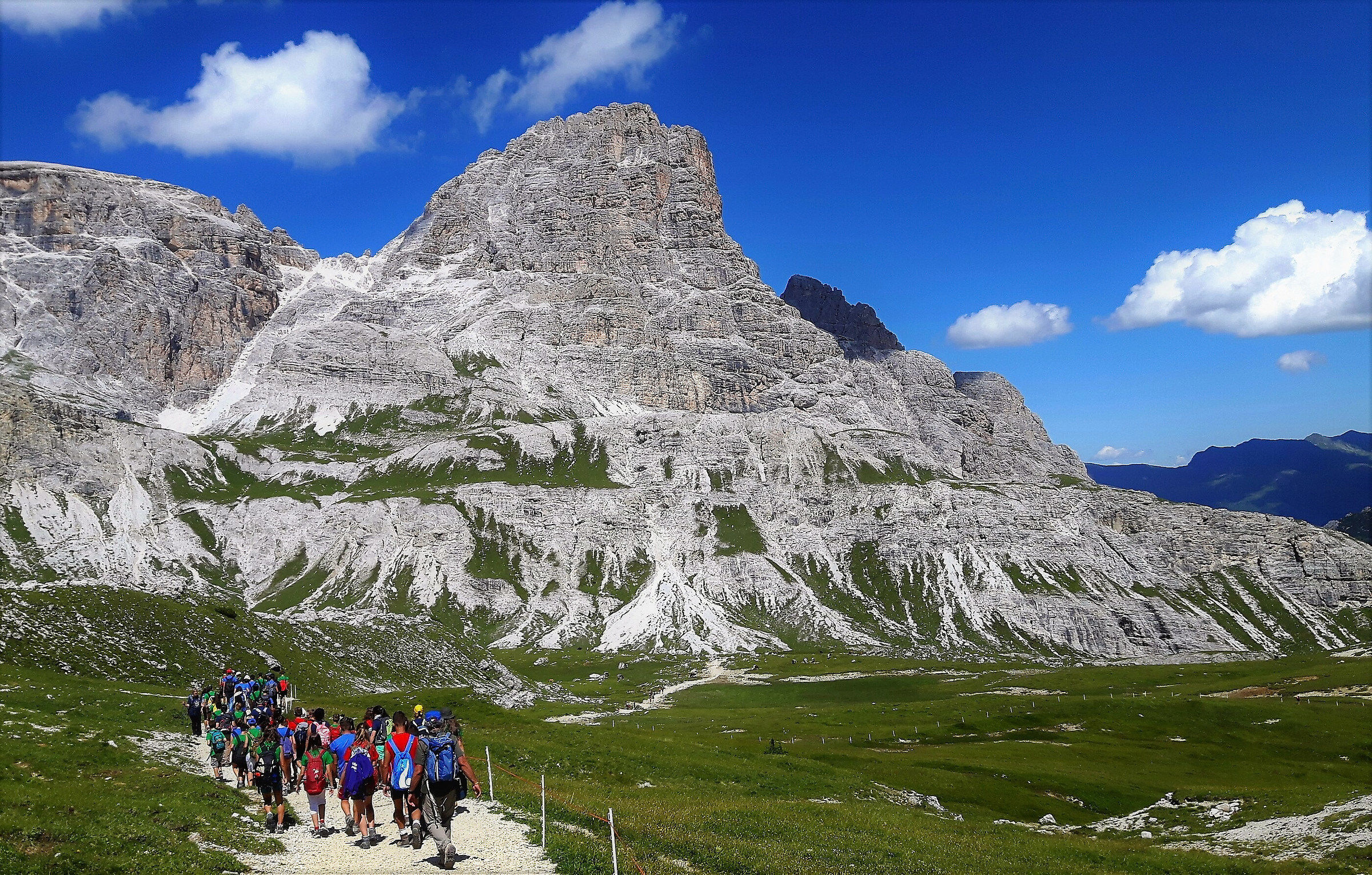 Una famiglia allargata